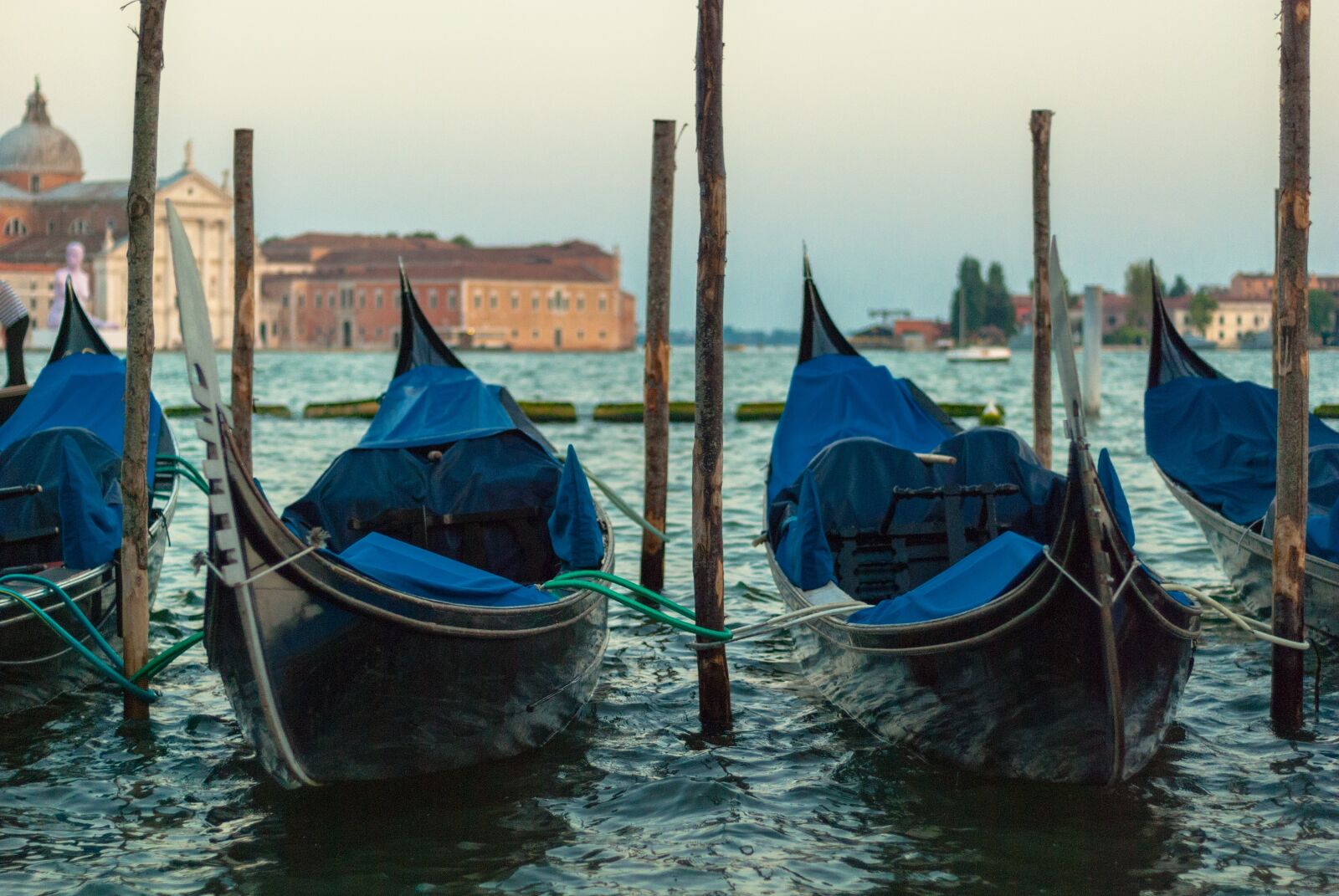 Nikon D80 sample photo. Venice, the sun, holidays photography