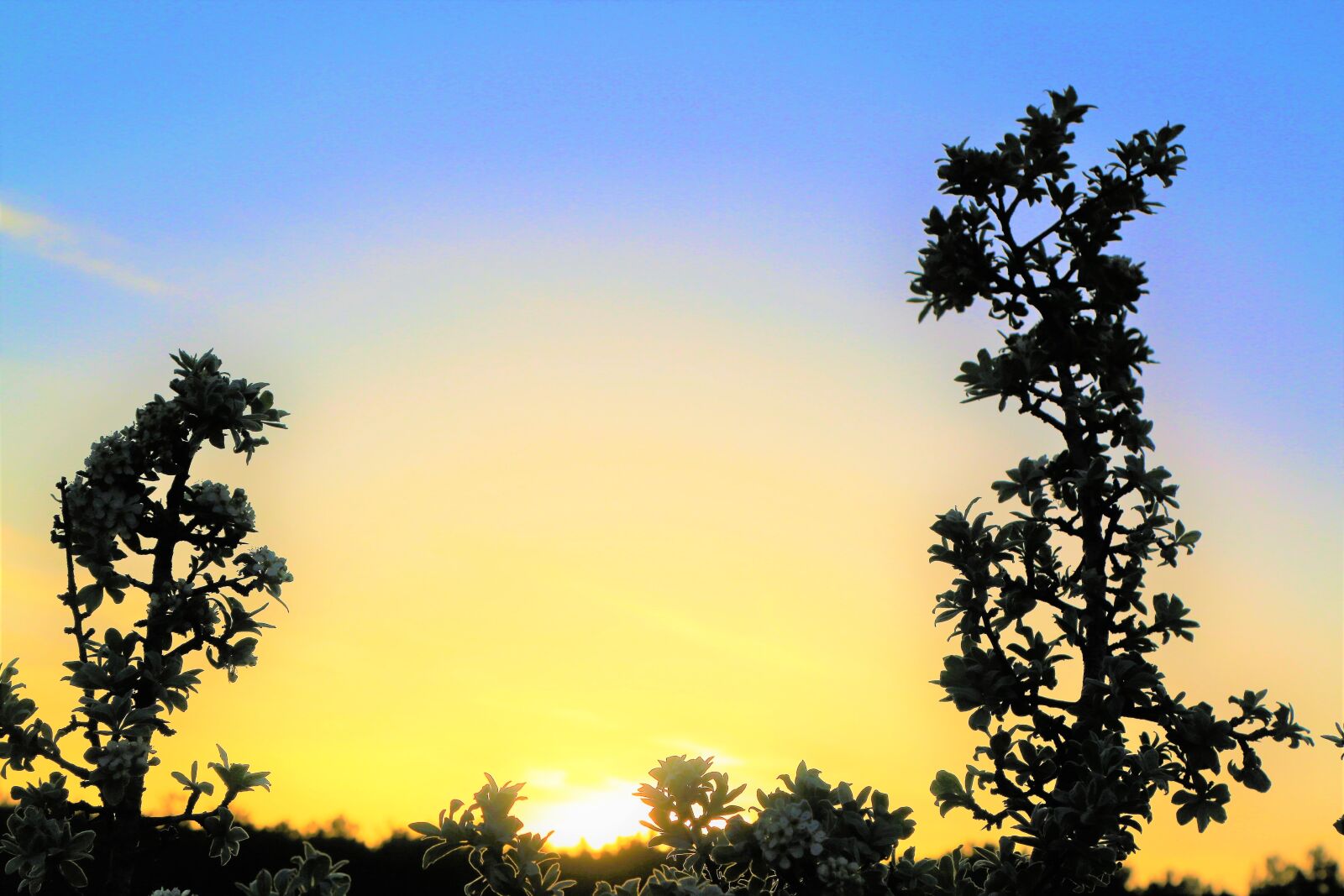 Canon EOS 5D Mark III sample photo. Sunset, in the evening photography