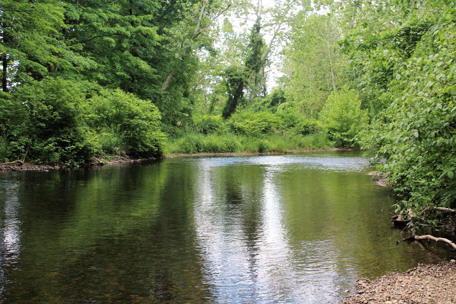 Canon EOS 1200D (EOS Rebel T5 / EOS Kiss X70 / EOS Hi) sample photo. Lazy, river, peace, water photography