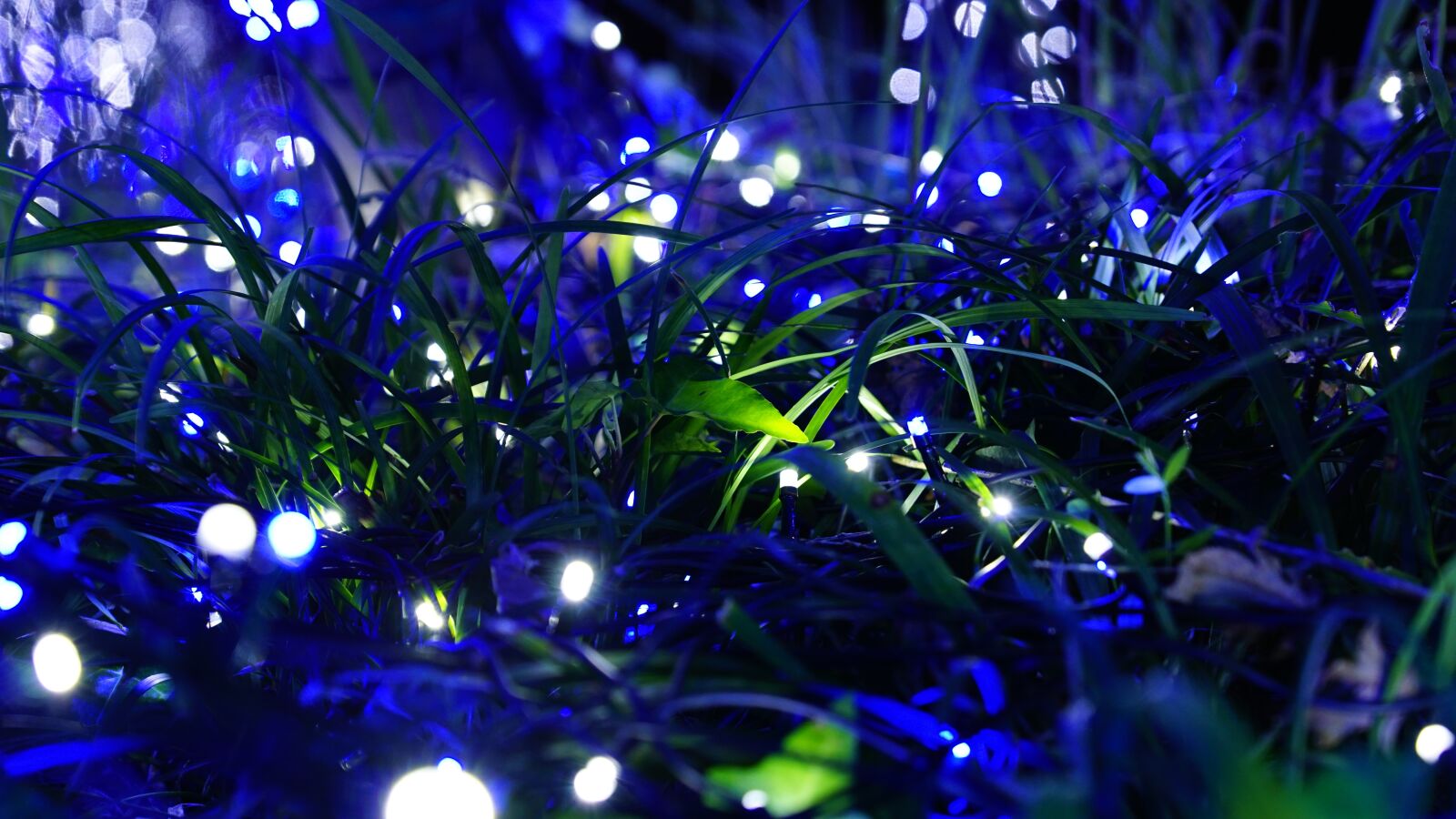 Sony ILCA-77M2 + Sony DT 16-50mm F2.8 SSM sample photo. Night view, light festival photography
