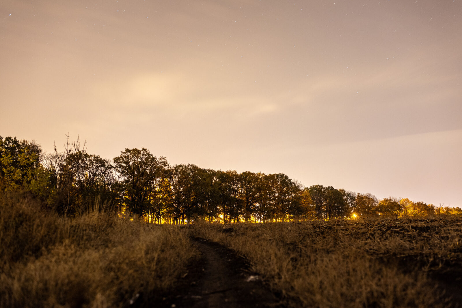 Nikon D750 + Nikon AF-S Nikkor 50mm F1.8G sample photo