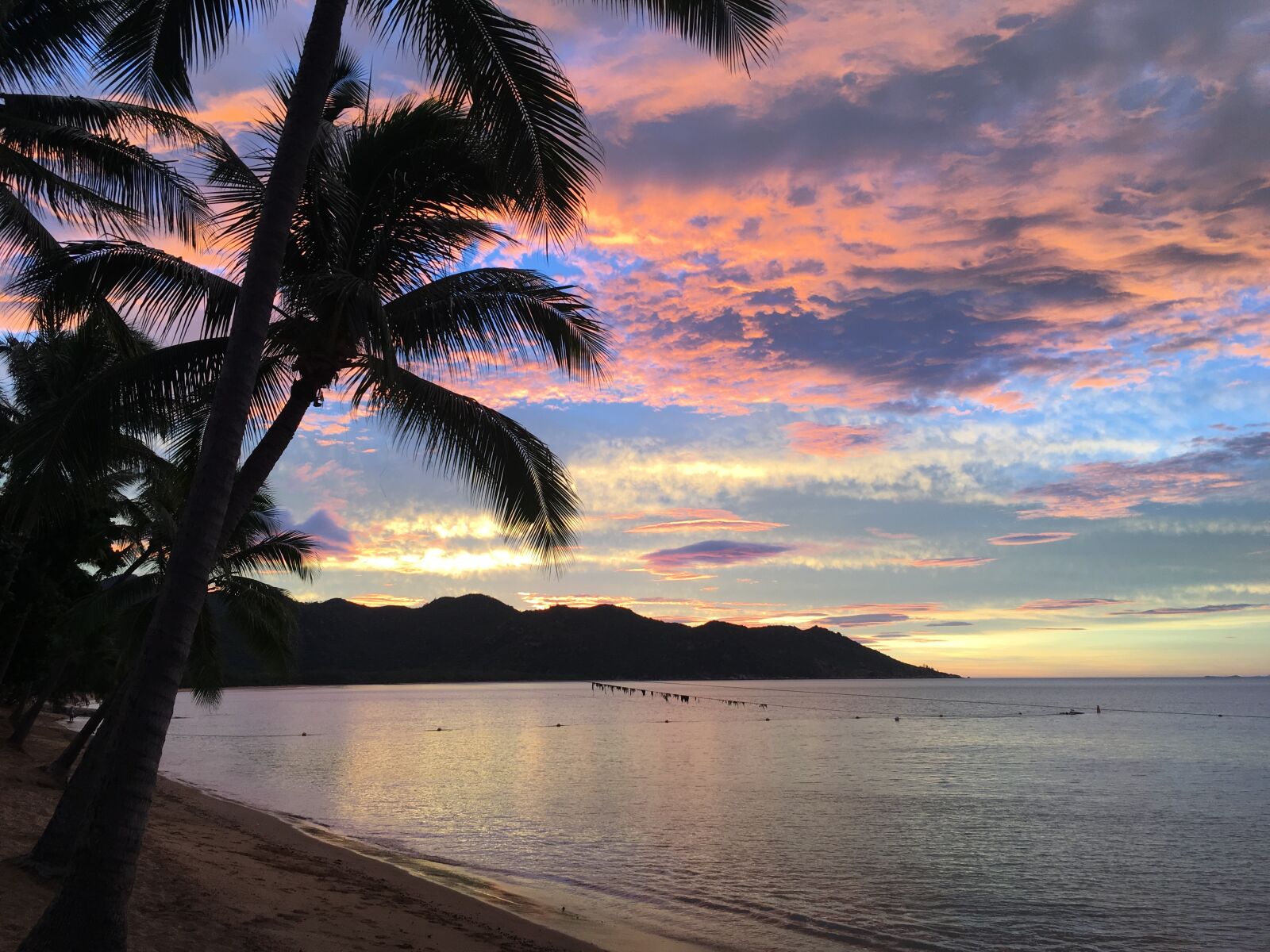 Apple iPhone 6s Plus sample photo. Magnetic island, sunset, palm photography