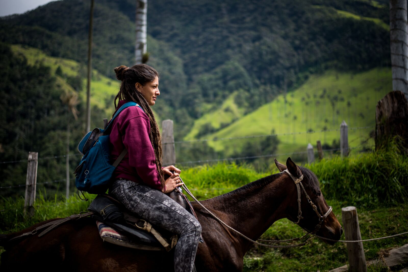 Nikon D610 sample photo. Horse, horse rider, woman photography