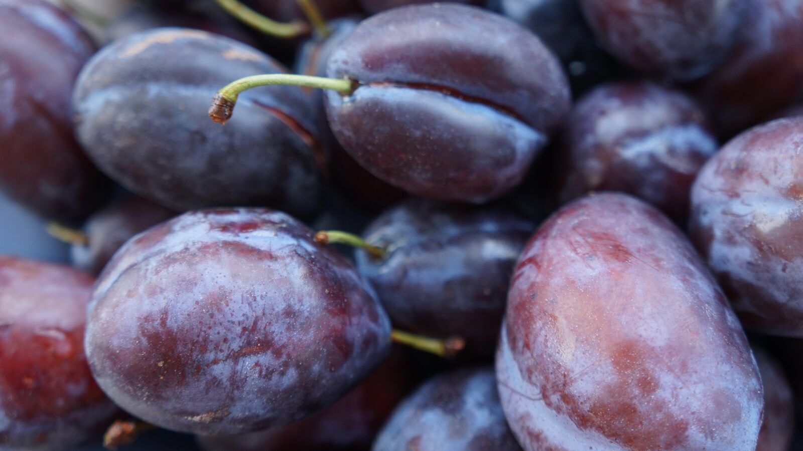Sony Alpha a3000 sample photo. Plums, fruit, healthy photography