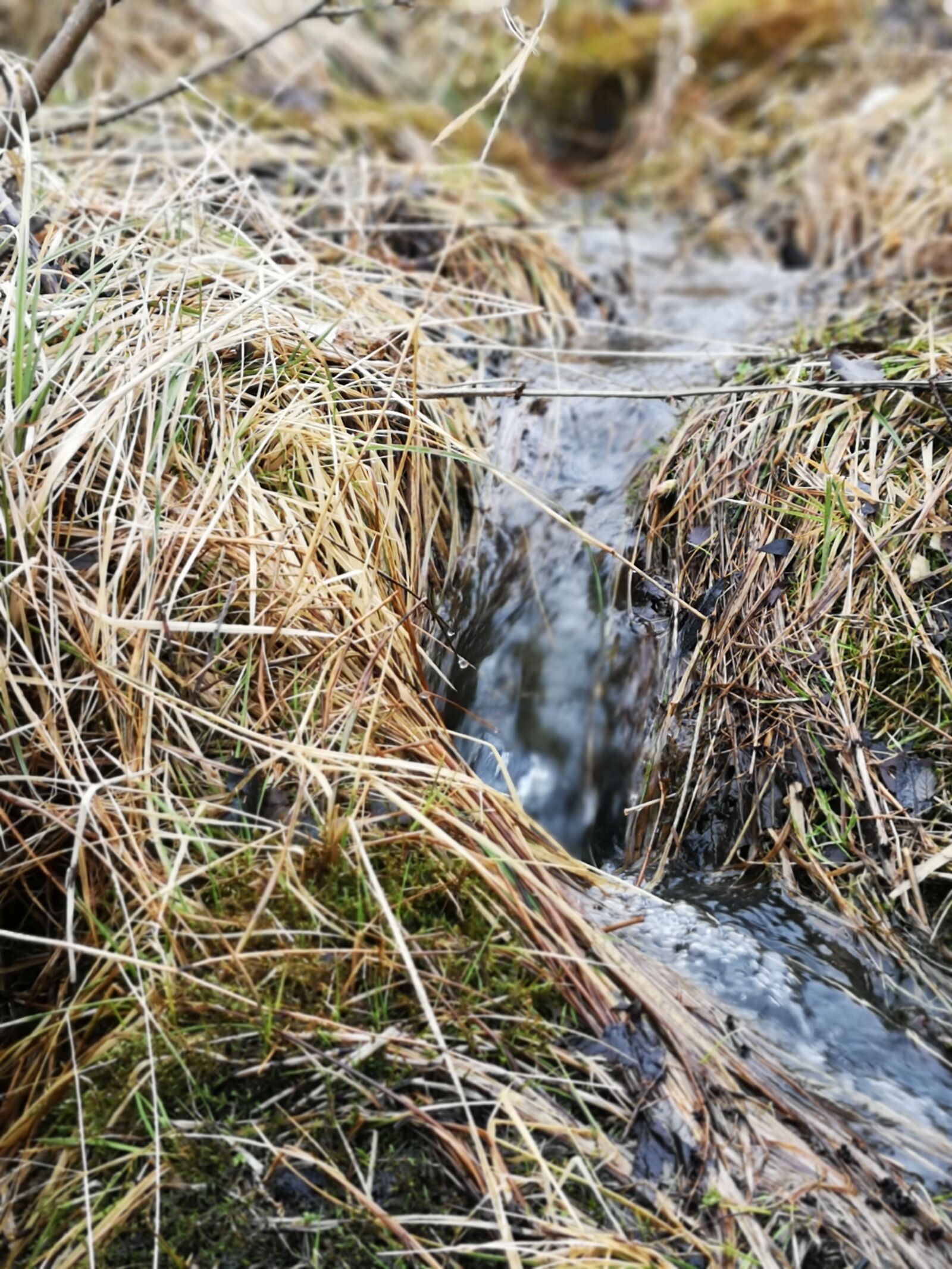 HUAWEI CLT-L29 sample photo. Landscape, nature, water photography