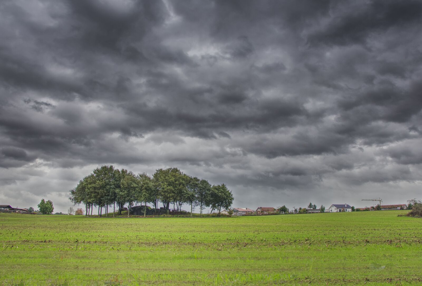 Nikon D7200 sample photo. Landscape, nature, field photography