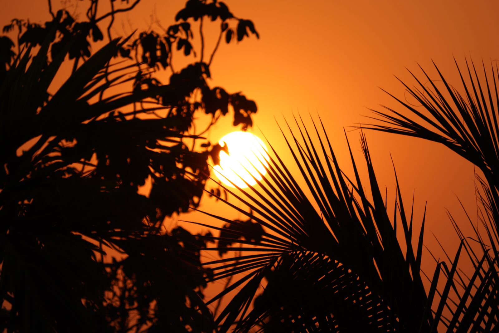 Canon EOS 200D (EOS Rebel SL2 / EOS Kiss X9) sample photo. Sunset, landscape, sky photography