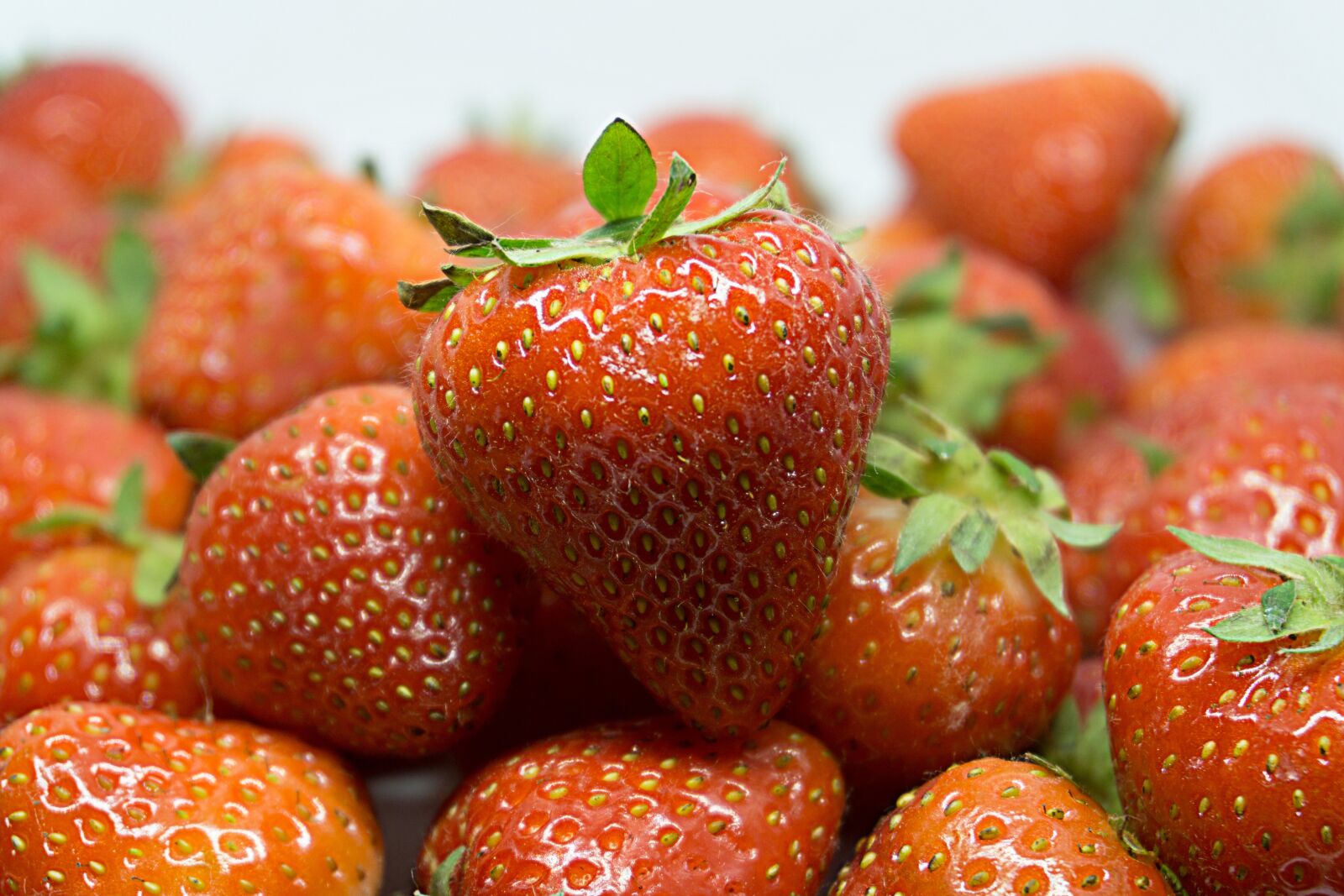 Sony a6000 sample photo. Strawberry, fruit, red photography