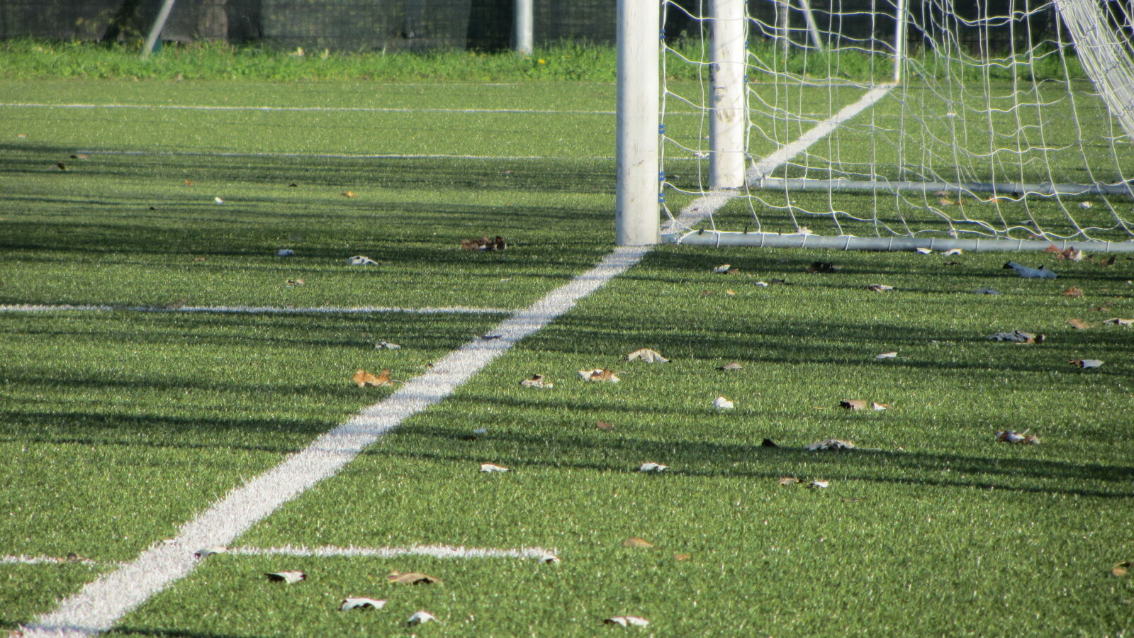 Canon PowerShot SX230 HS sample photo. Football, goal, pitch, sport photography