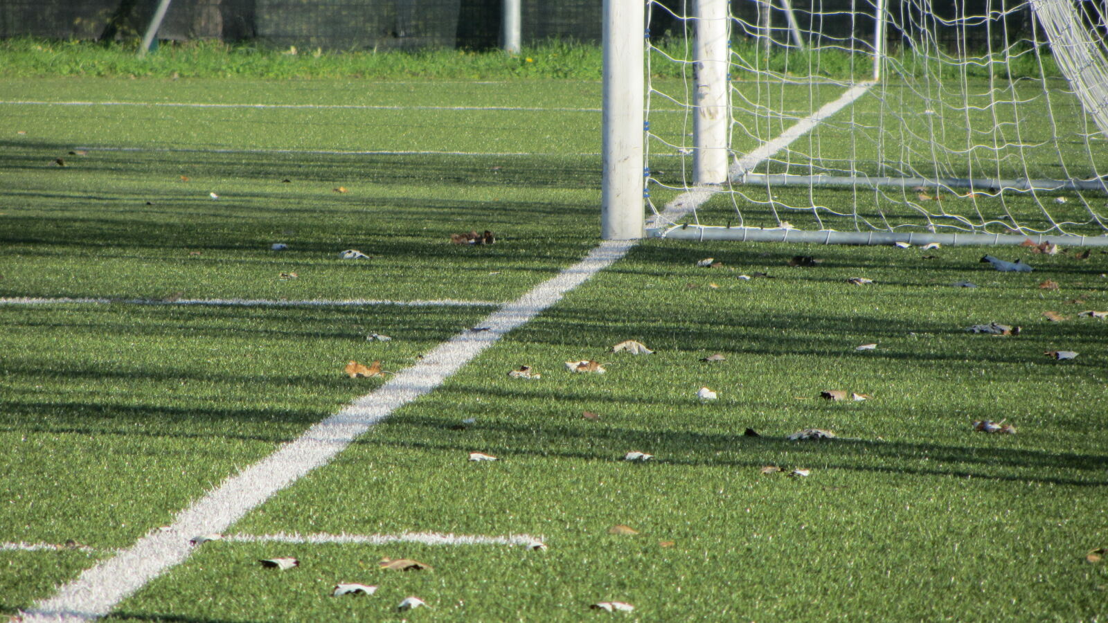 Canon PowerShot SX230 HS sample photo. Football, goal, pitch, sport photography
