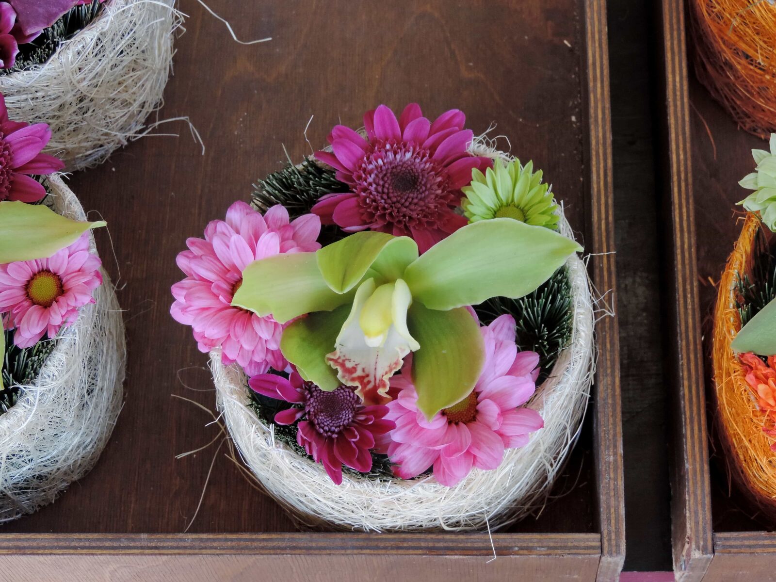 Nikon Coolpix P520 sample photo. Decoration, flowerpot, handmade, orchid photography