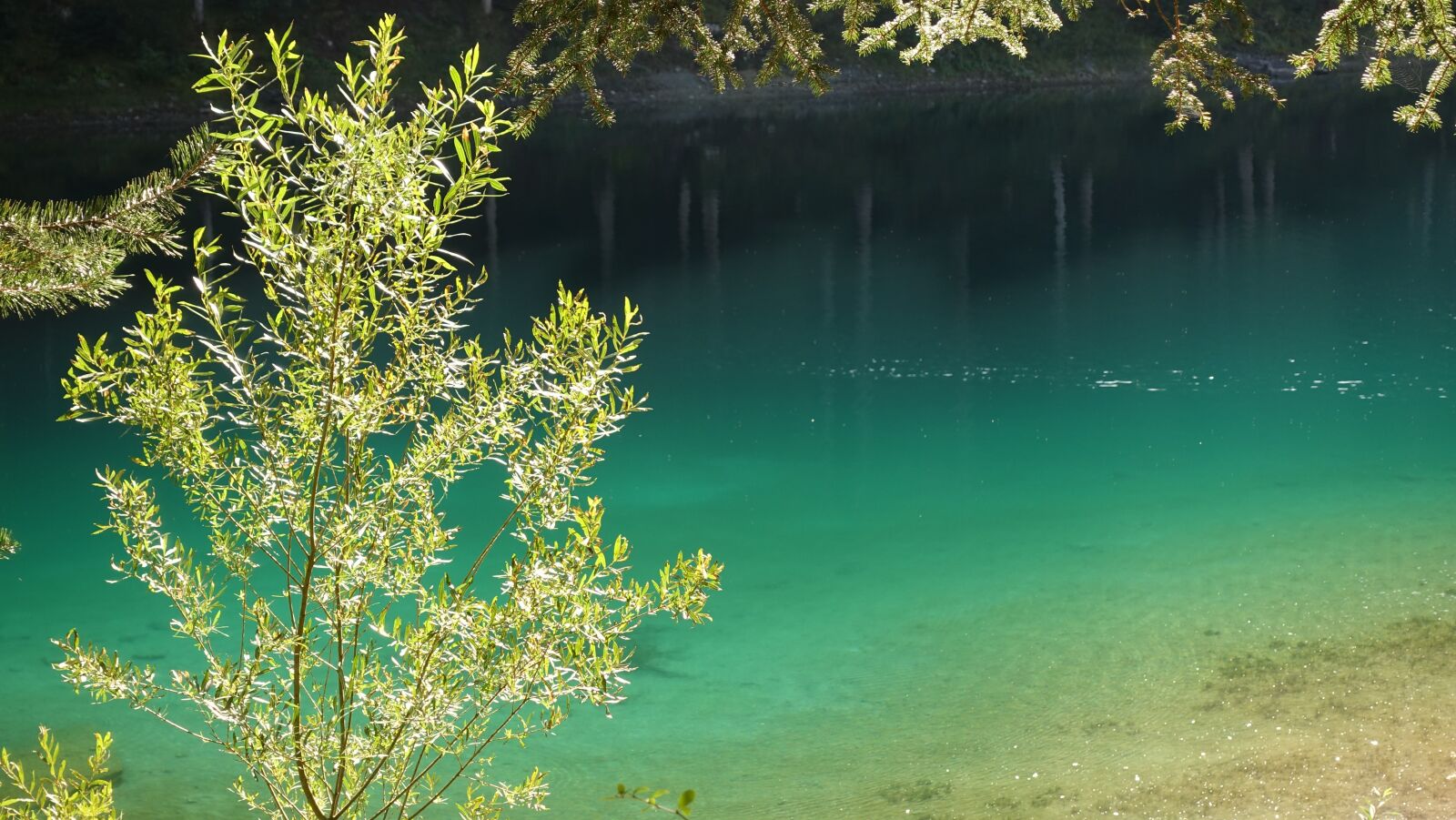 Sony Cyber-shot DSC-RX100 IV sample photo. Lake, color, nature photography