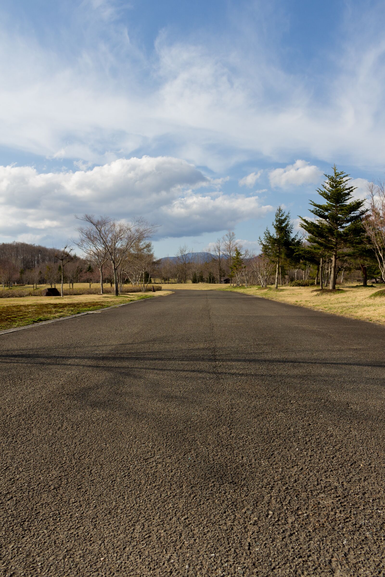 Canon EOS 100D (EOS Rebel SL1 / EOS Kiss X7) sample photo. Street, road, flatland photography