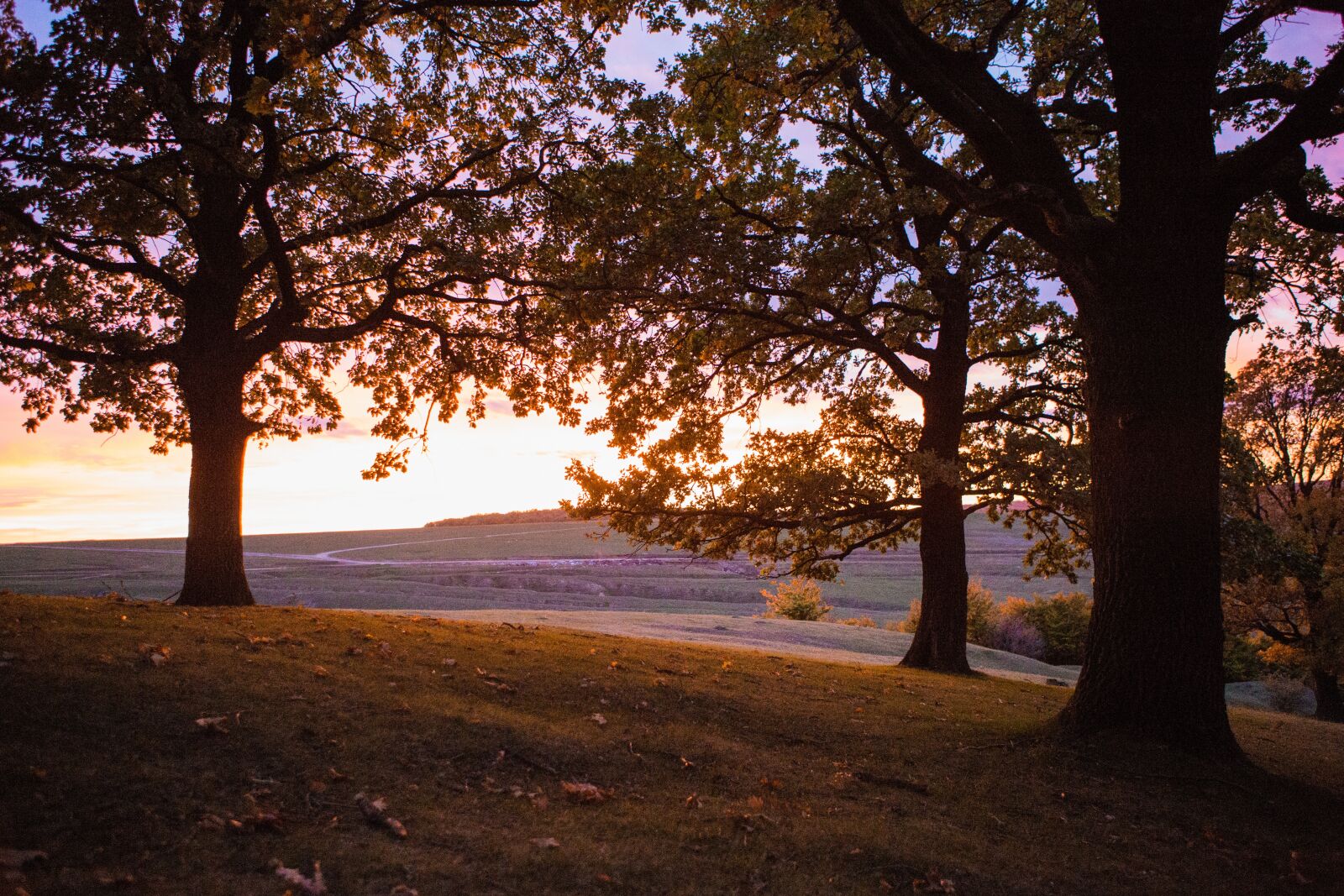 Canon EF 24-70mm F2.8L USM sample photo. Sunset, suceava, travel photography