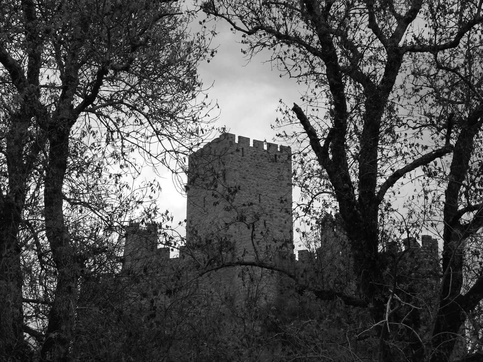 Fujifilm FinePix S5600 sample photo. Almourol, castle, templars photography