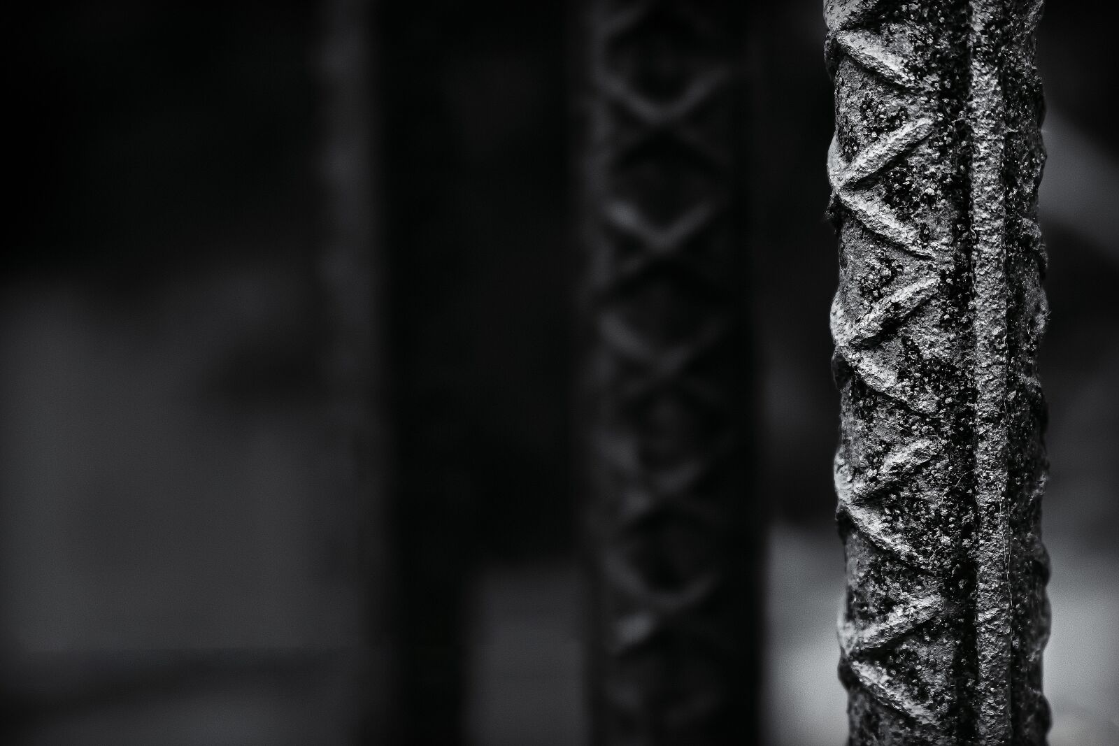 Canon EOS 700D (EOS Rebel T5i / EOS Kiss X7i) sample photo. Iron, strong, quote photography