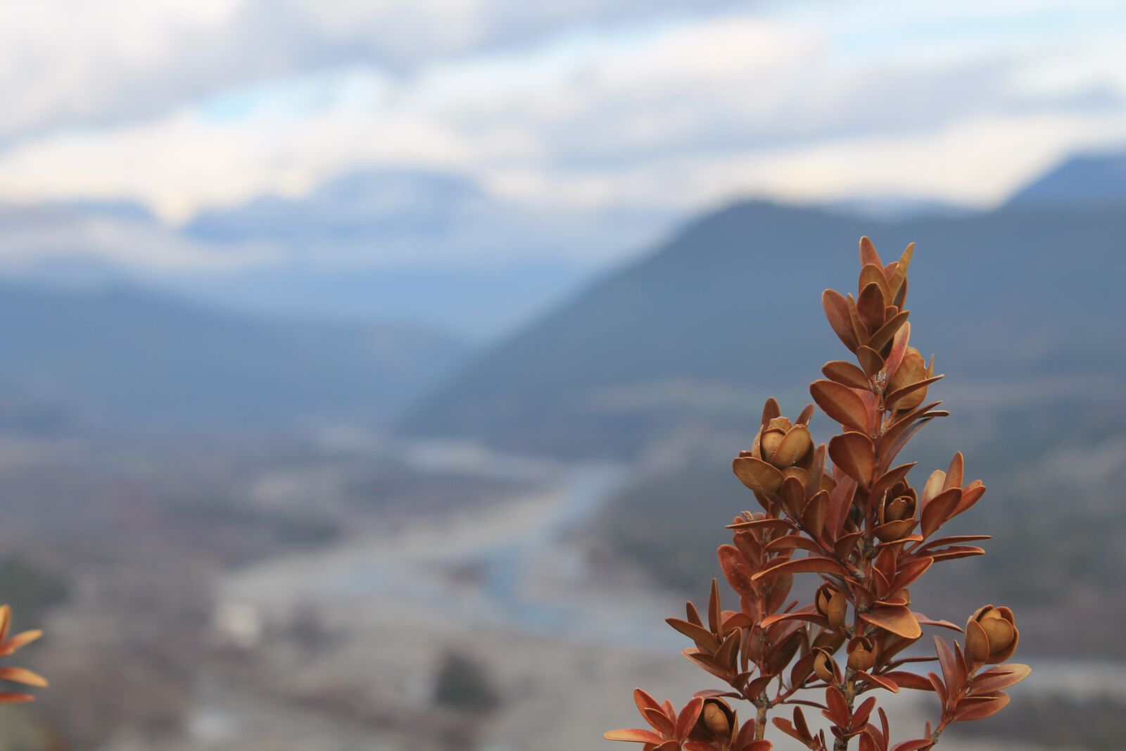Canon EOS 1100D (EOS Rebel T3 / EOS Kiss X50) sample photo. Landscape, pyrenees, nature photography