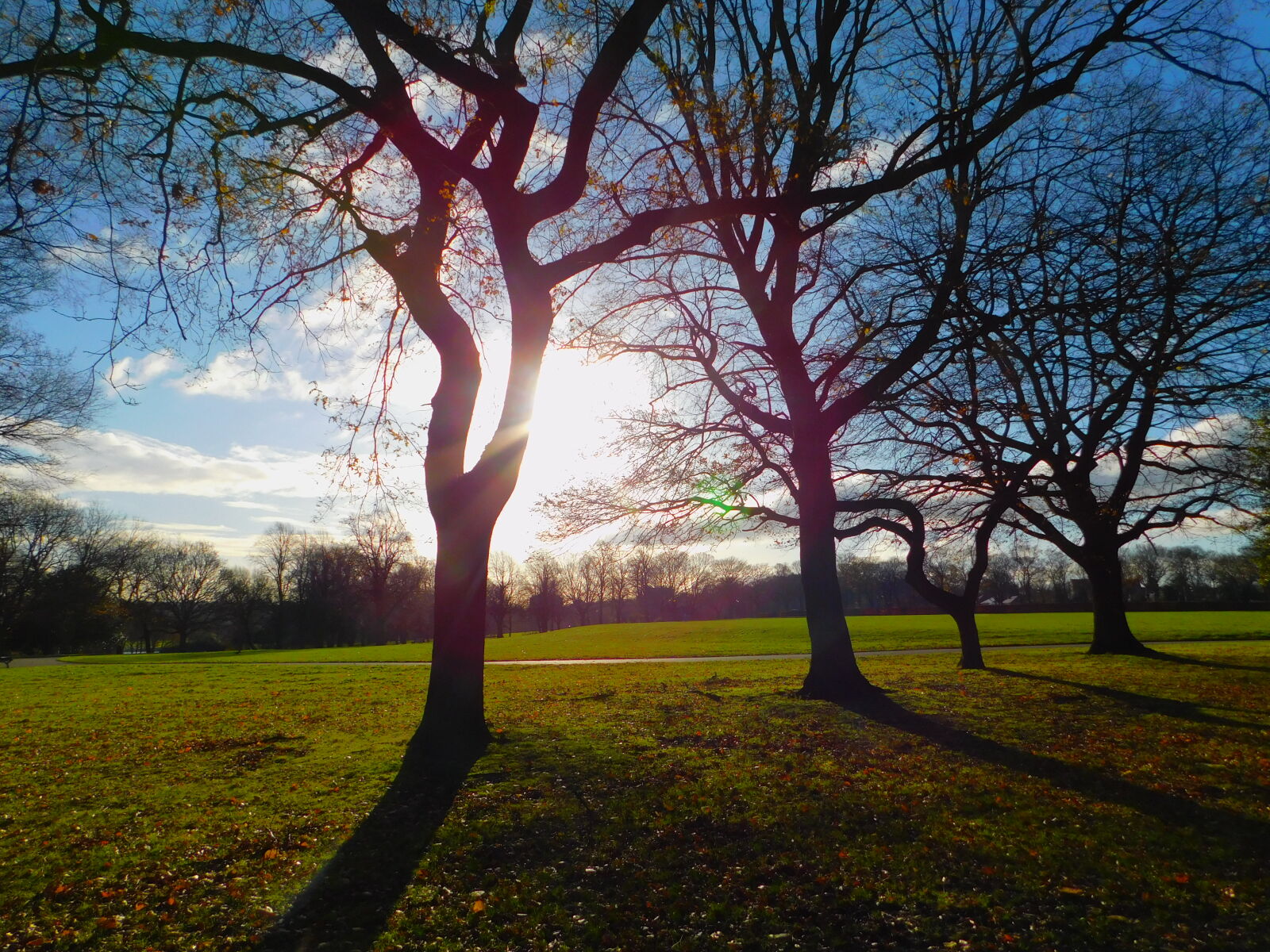 Nikon Coolpix B500 sample photo. Autumn, nature, park photography