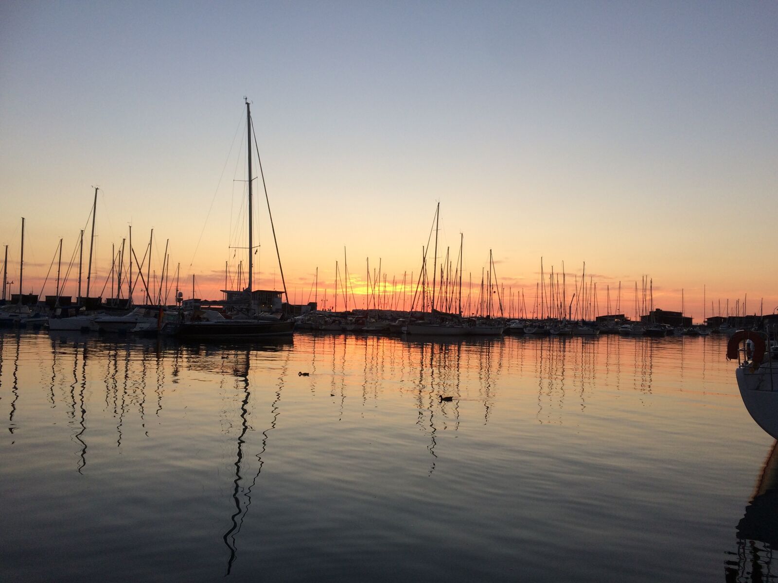iPhone 5s back camera 4.15mm f/2.2 sample photo. Helsingborg, skåne, sweden photography