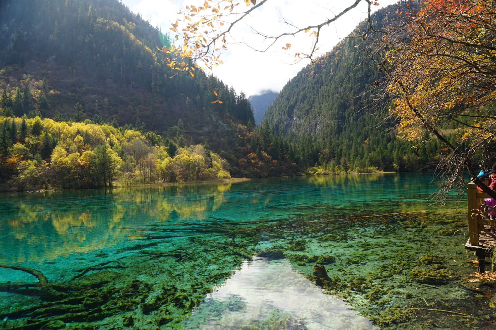 Sony a7 + Sony Vario Tessar T* FE 24-70mm F4 ZA OSS sample photo. Jiuzhaigou, autumn, colored sea photography