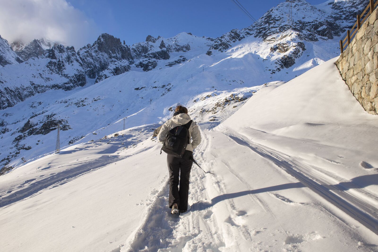 Nikon D600 sample photo. Snow, walking, nature photography