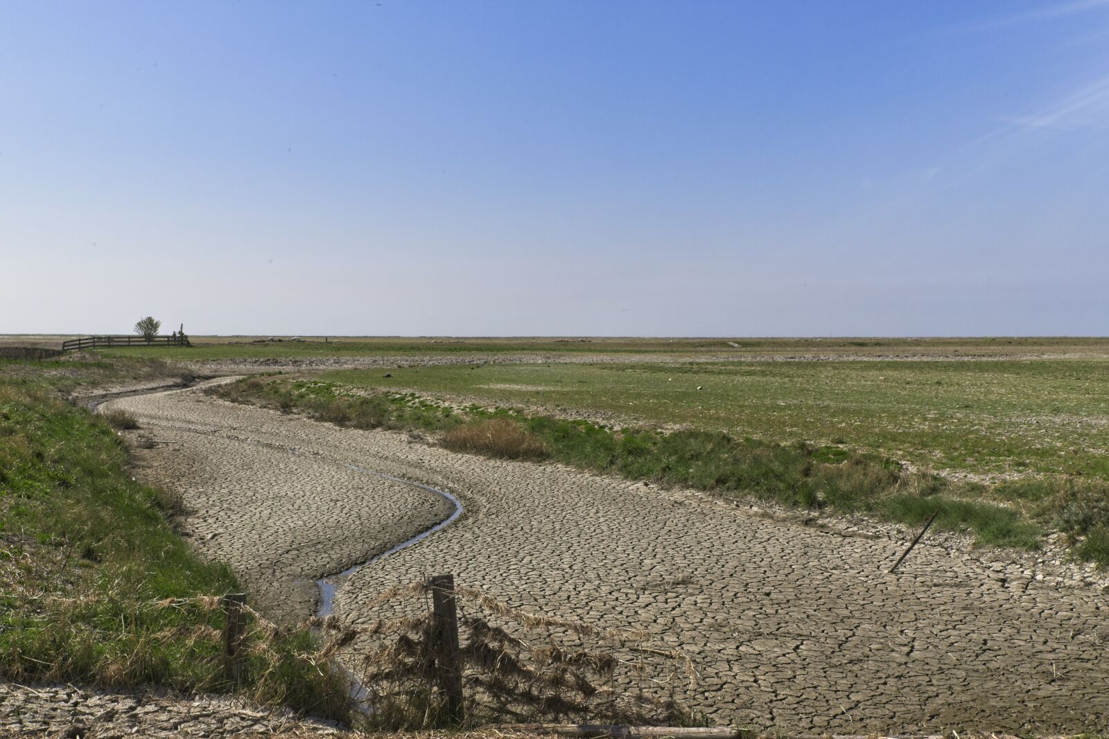 Canon EOS 6D Mark II sample photo. Noorderleech, friesland, wad photography
