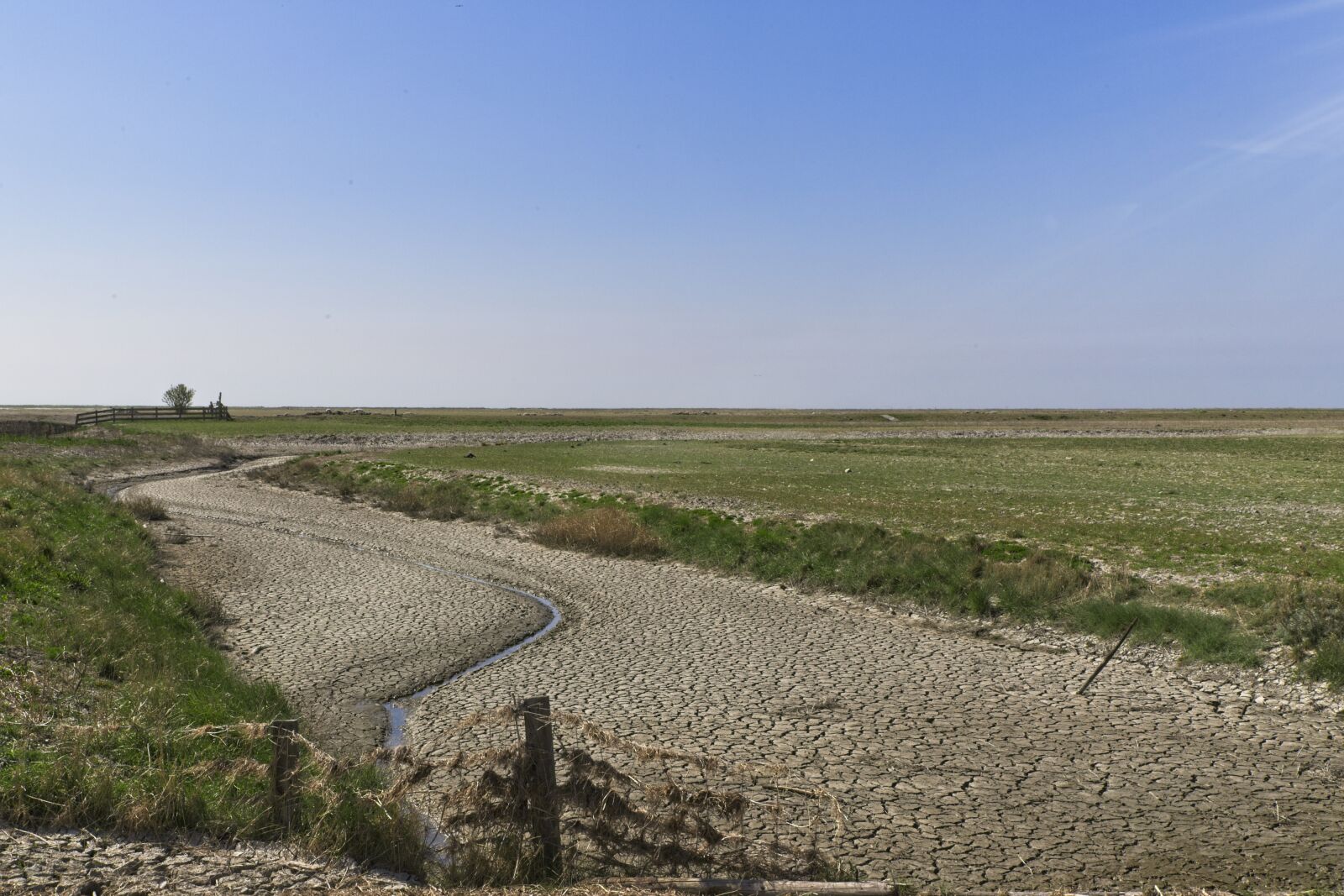 Tamron SP 24-70mm F2.8 Di VC USD G2 sample photo. Noorderleech, friesland, wad photography