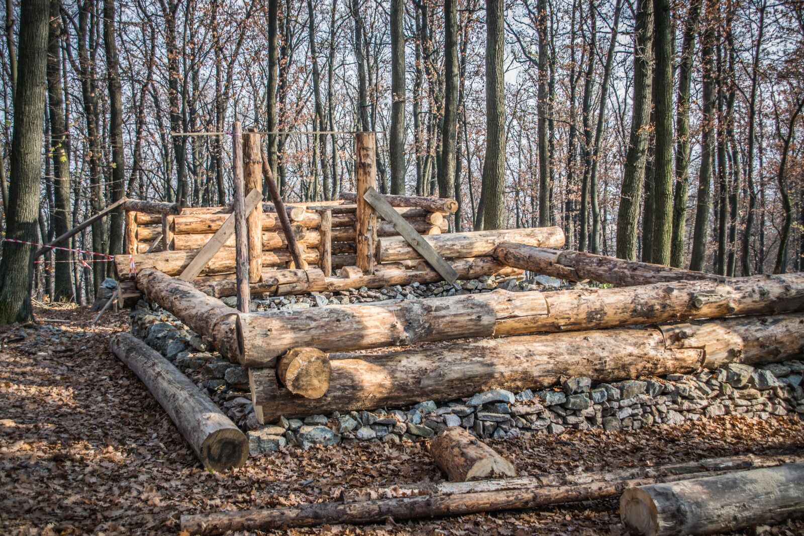 Nikon D5300 sample photo. Building, log cabin, wood photography