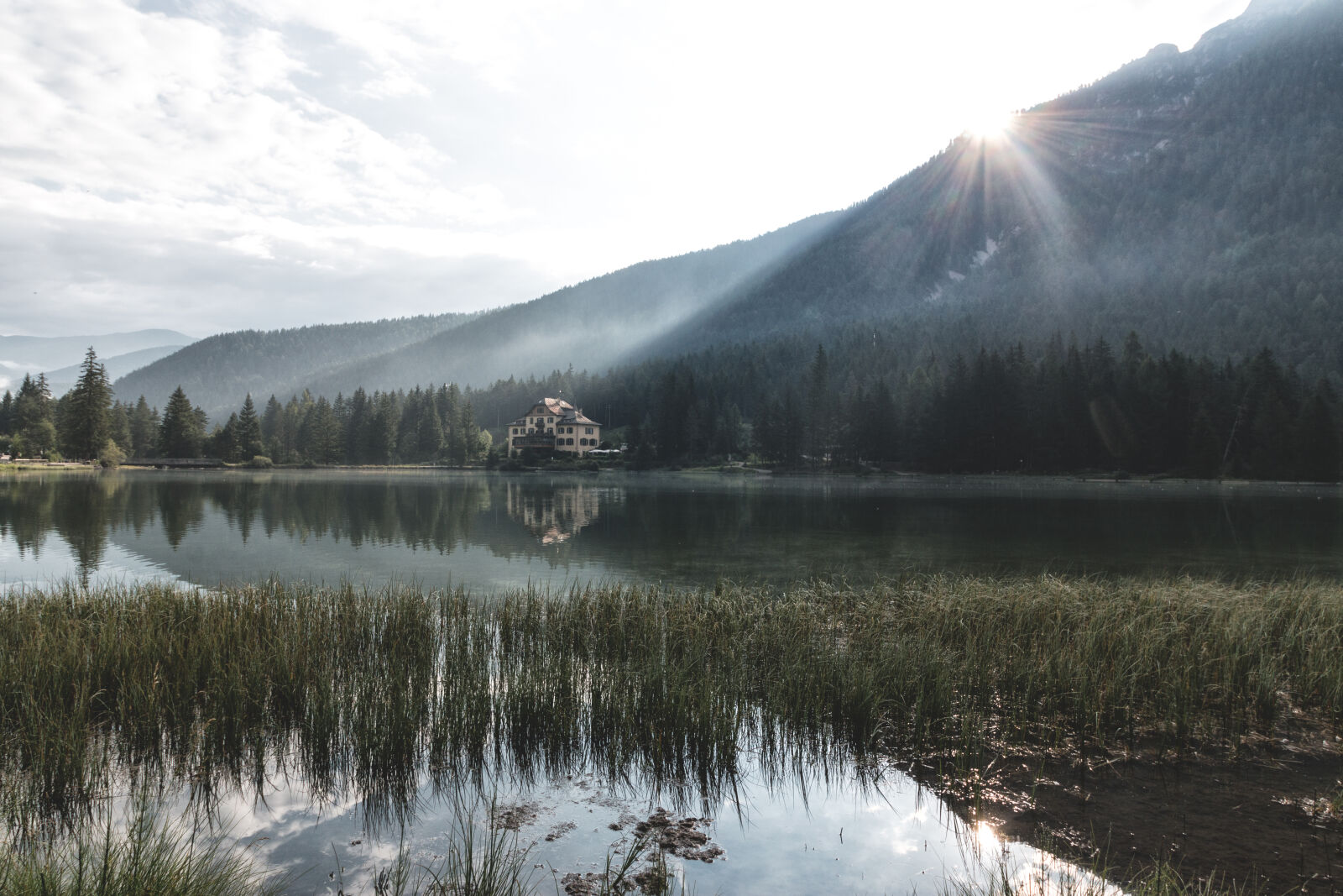 Canon EOS 70D sample photo. Daylight, environment, fog, forest photography