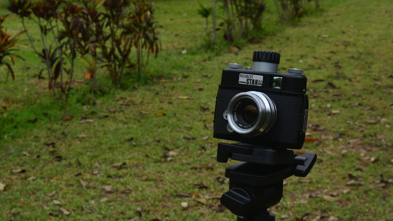 Nikon D5200 sample photo. Camera, similar, photography photography