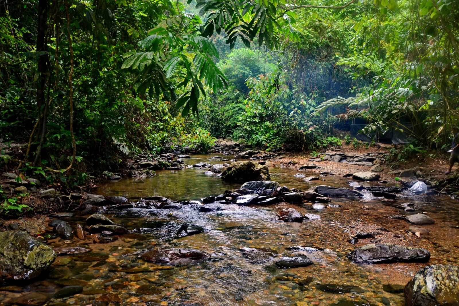 Nikon D3100 sample photo. Travel, indonesia, sumatra photography
