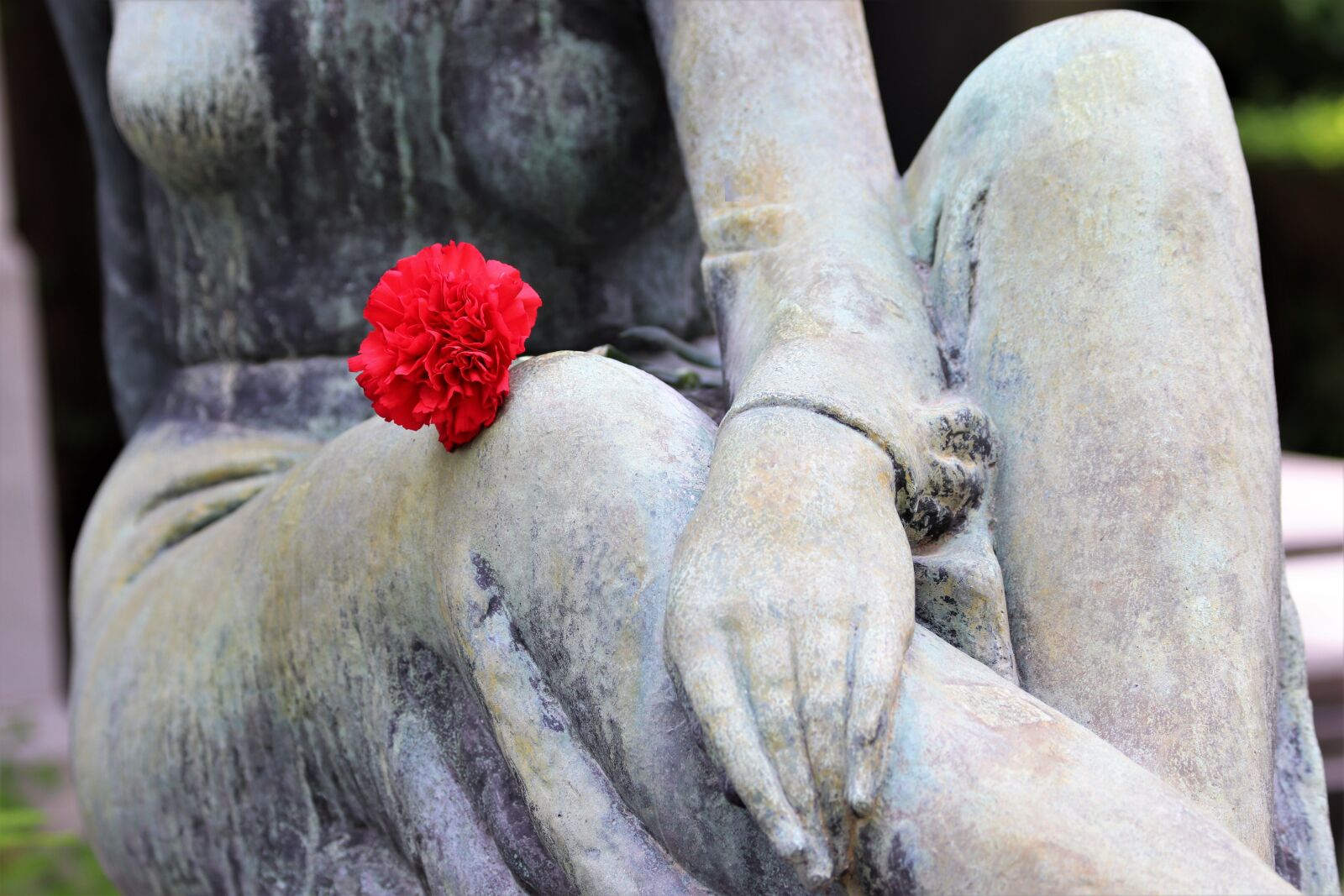 Canon EOS 200D (EOS Rebel SL2 / EOS Kiss X9) sample photo. Woman, sculpture, red carnation photography