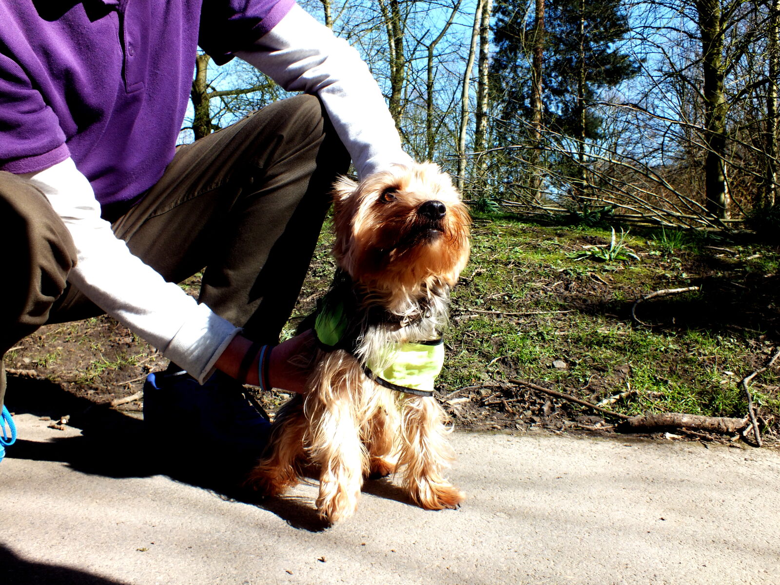FujiFilm FinePix HS20 EXR (FinePix HS22 EXR) sample photo. Dog, park, puppy photography