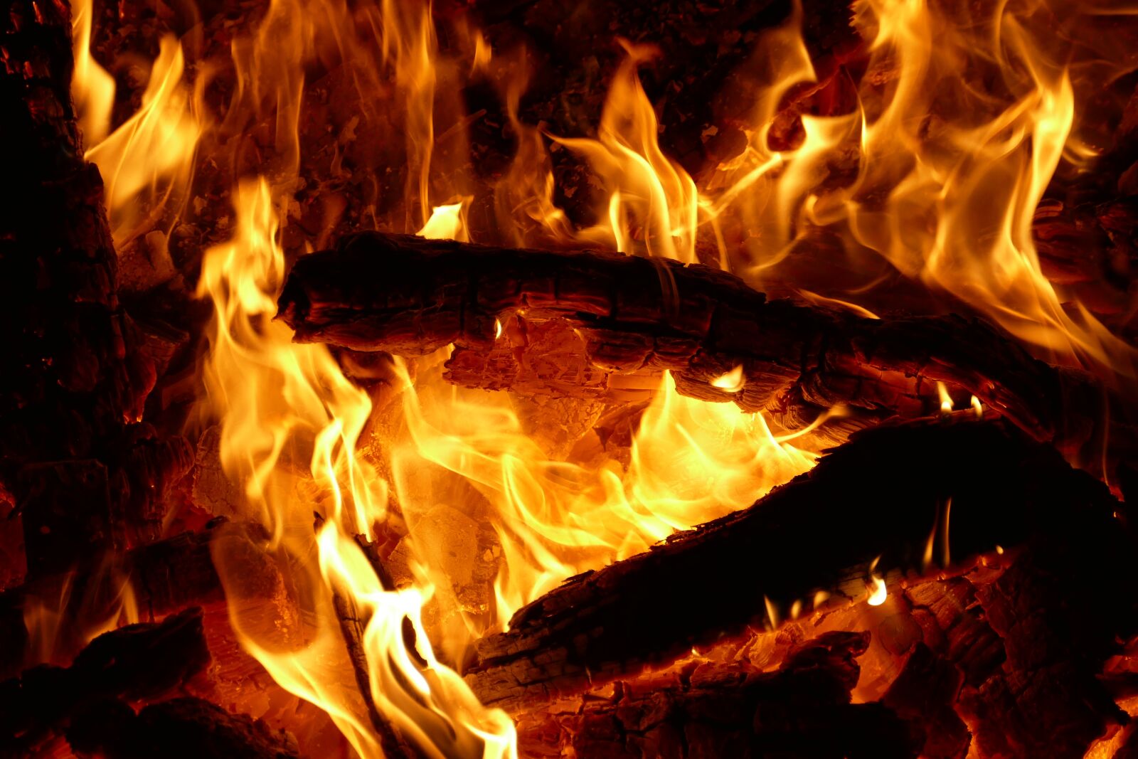Panasonic Lumix DMC-FZ1000 sample photo. Fire, flame, wood photography