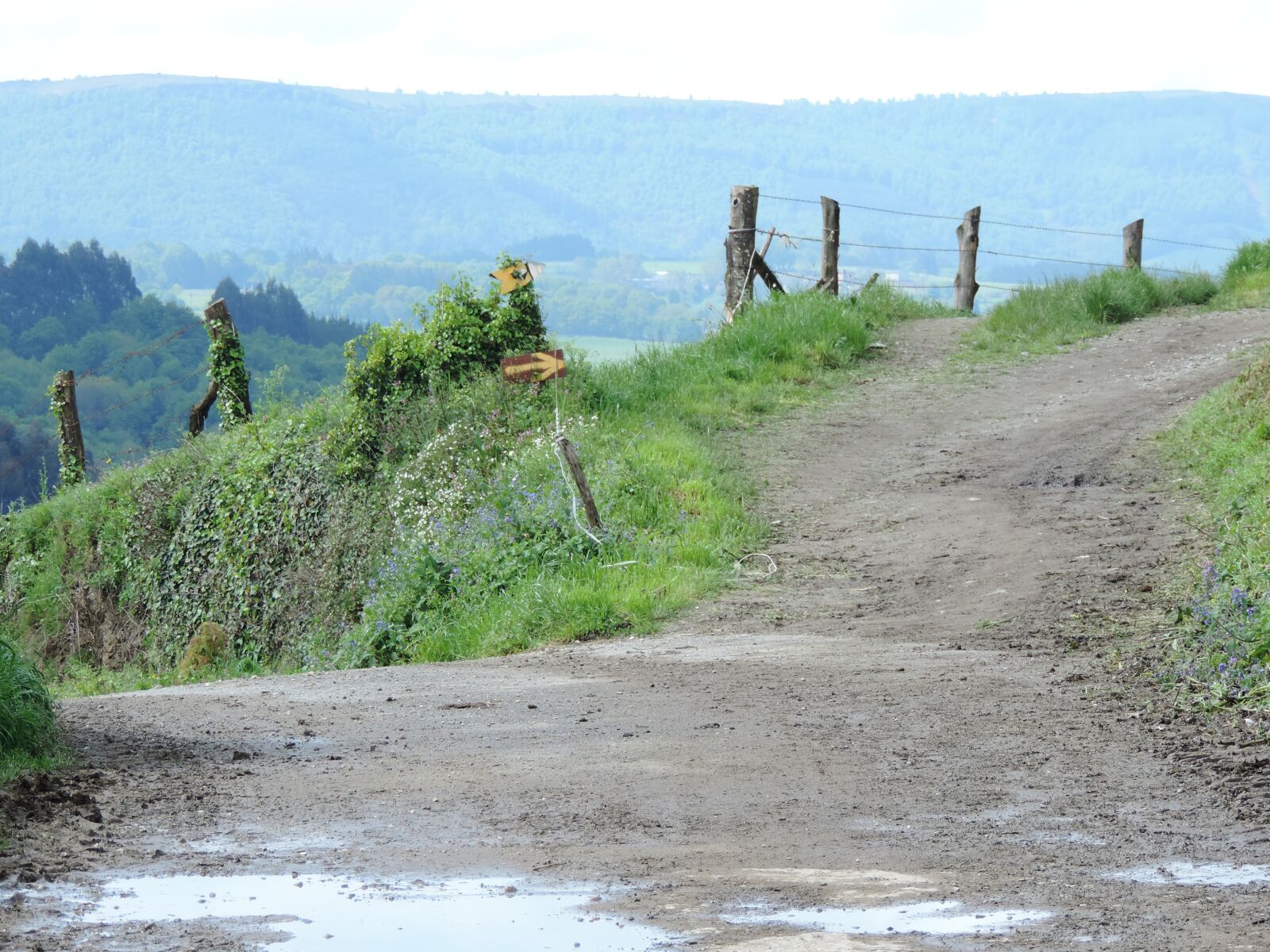 Nikon Coolpix P520 sample photo. Path, spain, road photography