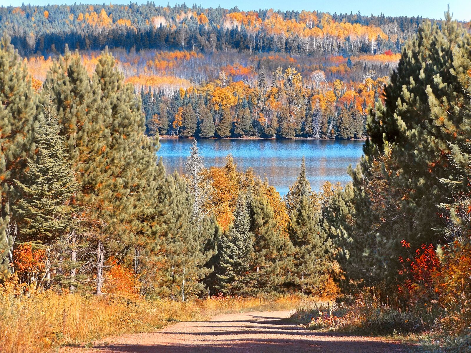 Fujifilm FinePix S8600 sample photo. Autumn, road, wilderness photography