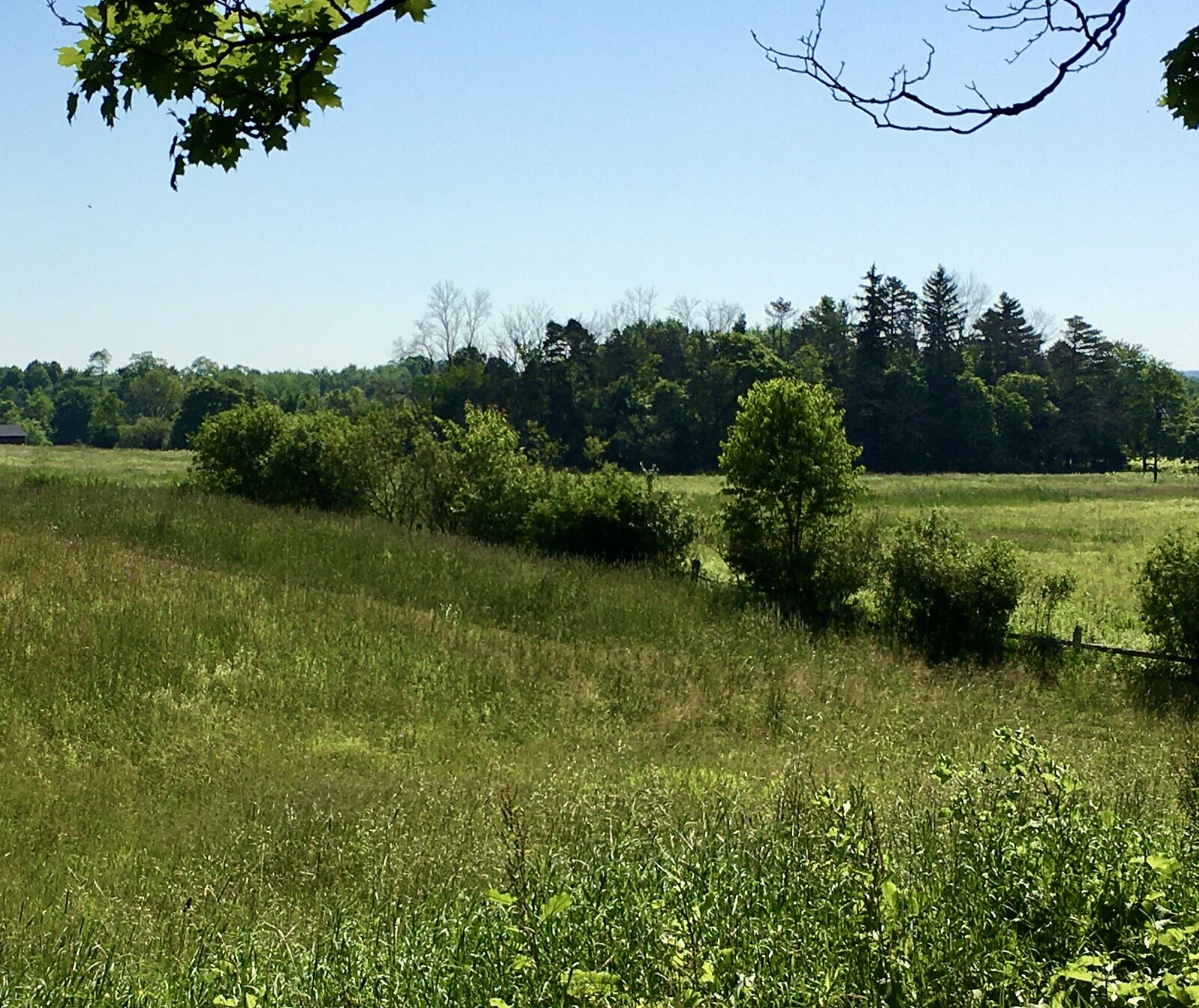 iPhone 6s back camera 4.15mm f/2.2 sample photo. Landscape, farm, field photography