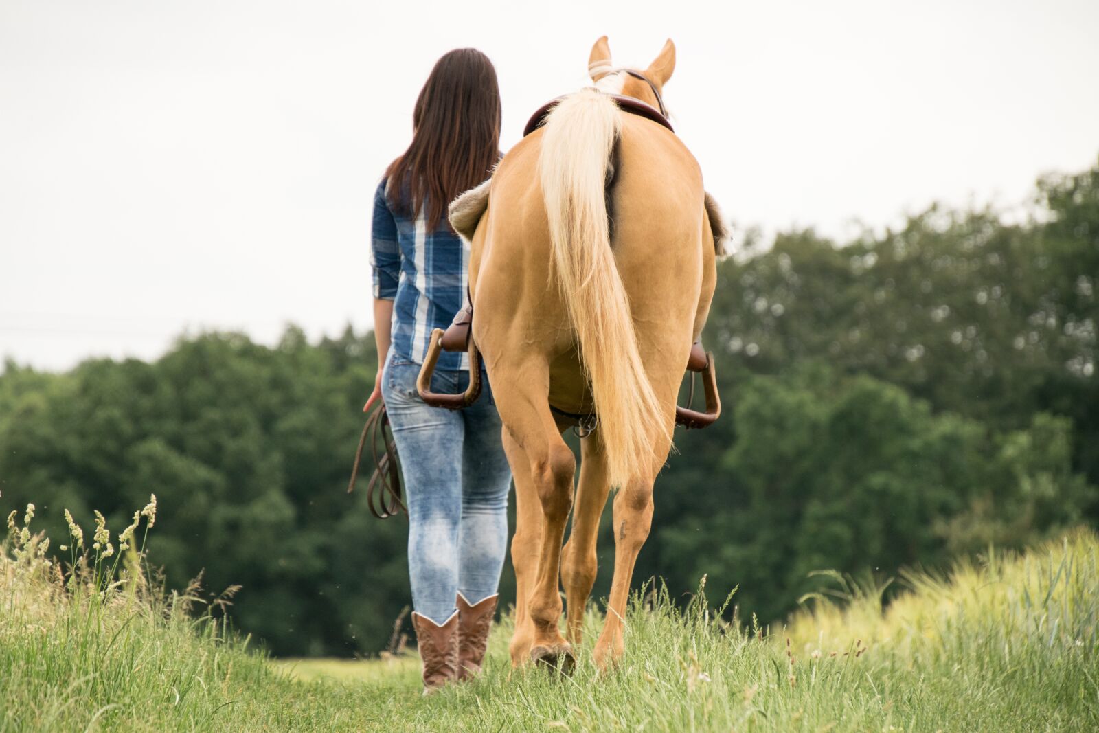 Nikon D3300 sample photo. Ride, horse, western photography