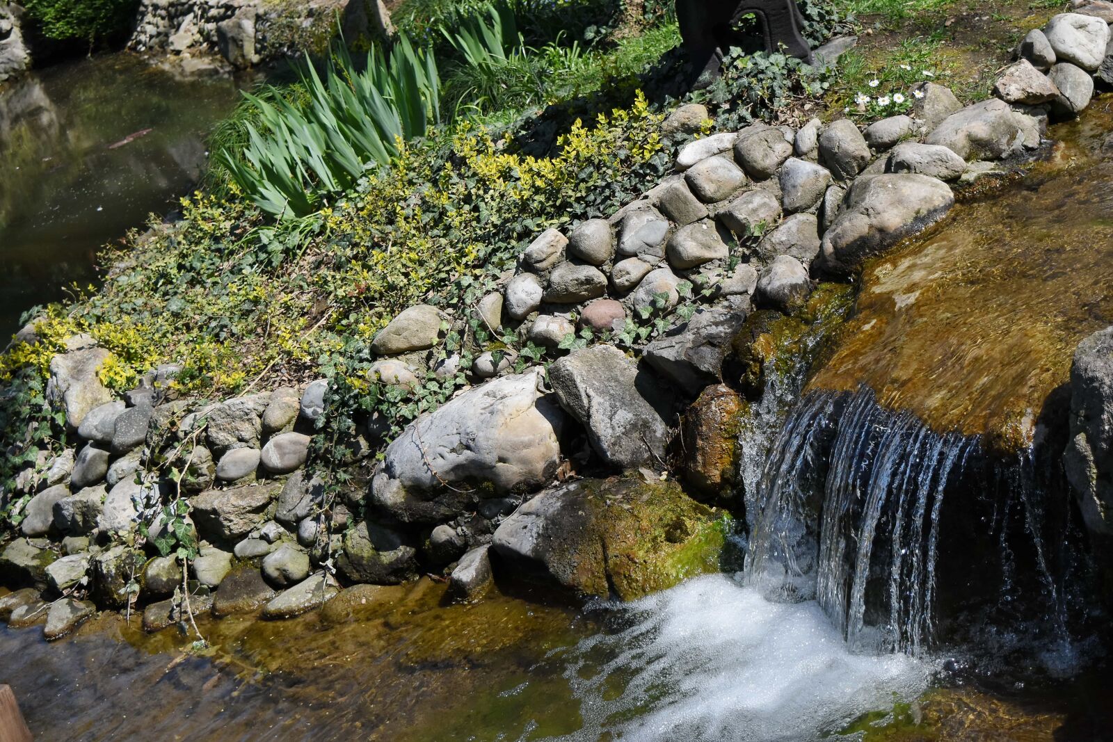 Nikon D5500 sample photo. Garden, river, stone, flow photography
