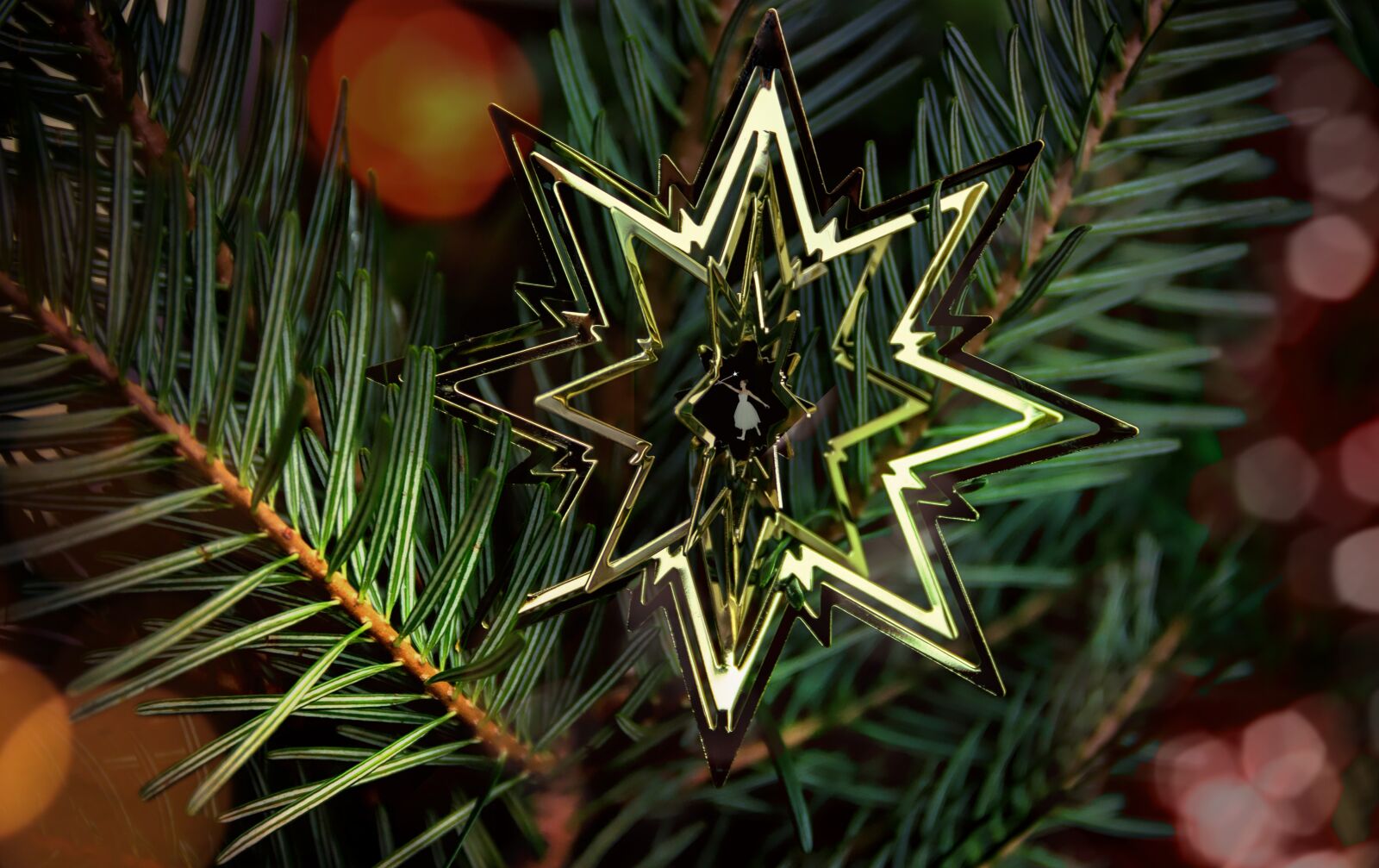 Canon EOS 600D (Rebel EOS T3i / EOS Kiss X5) sample photo. Star, poinsettia, christmas photography