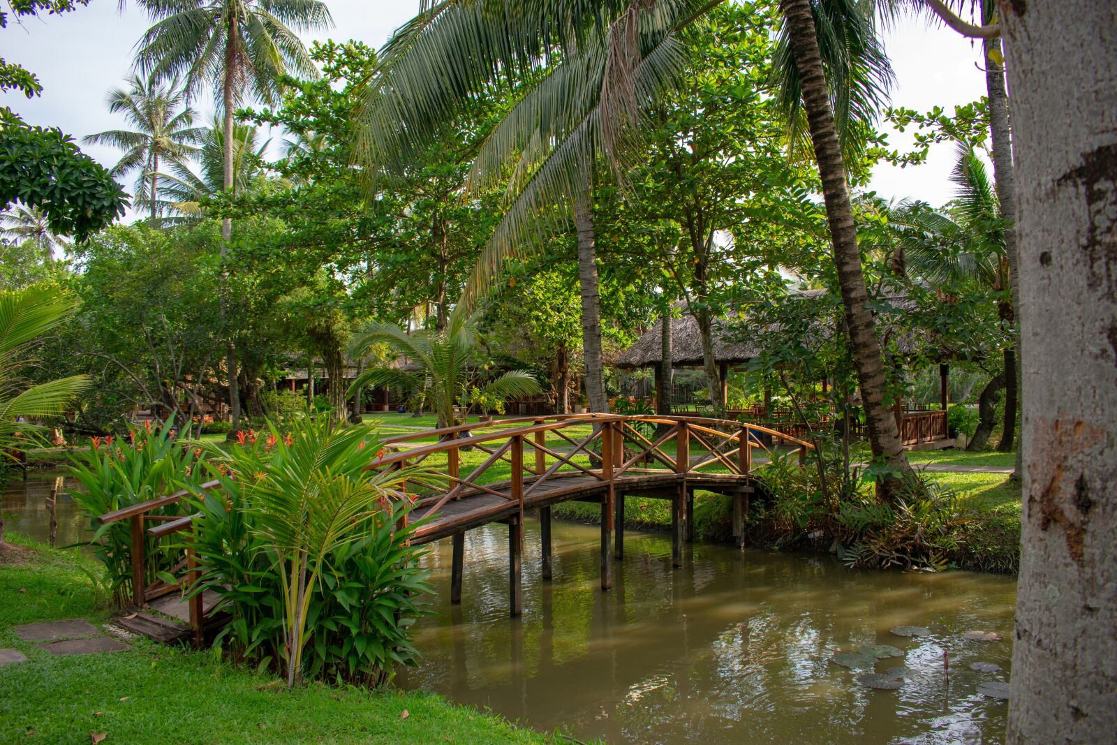 Nikon D3400 sample photo. Wooden, bridge, green photography