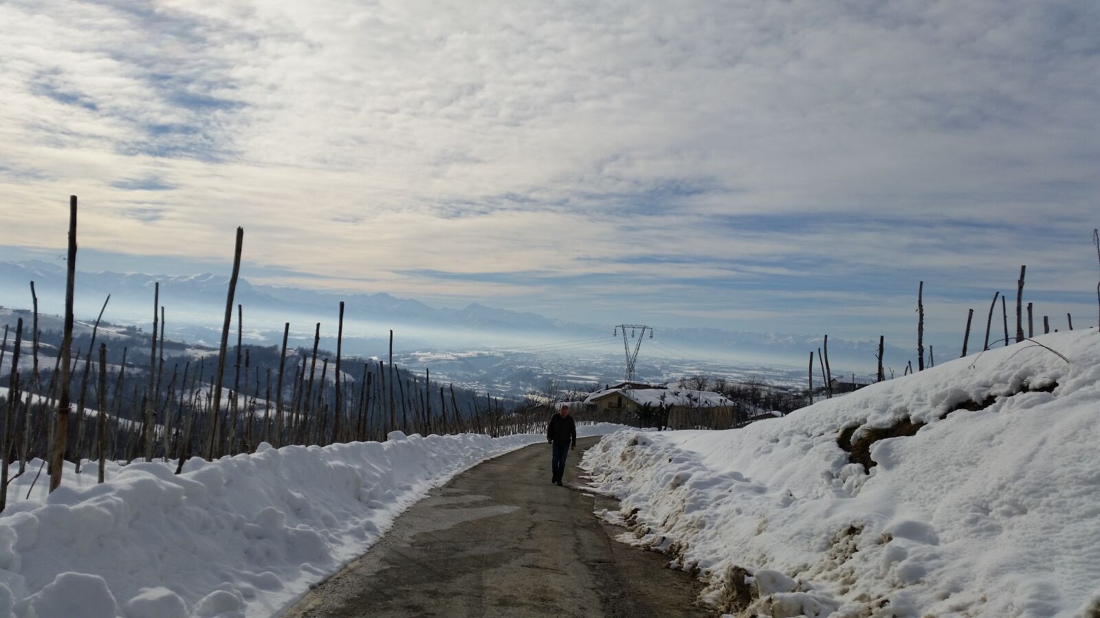 Samsung Galaxy S5 sample photo. Langhe, vineyards, winter photography