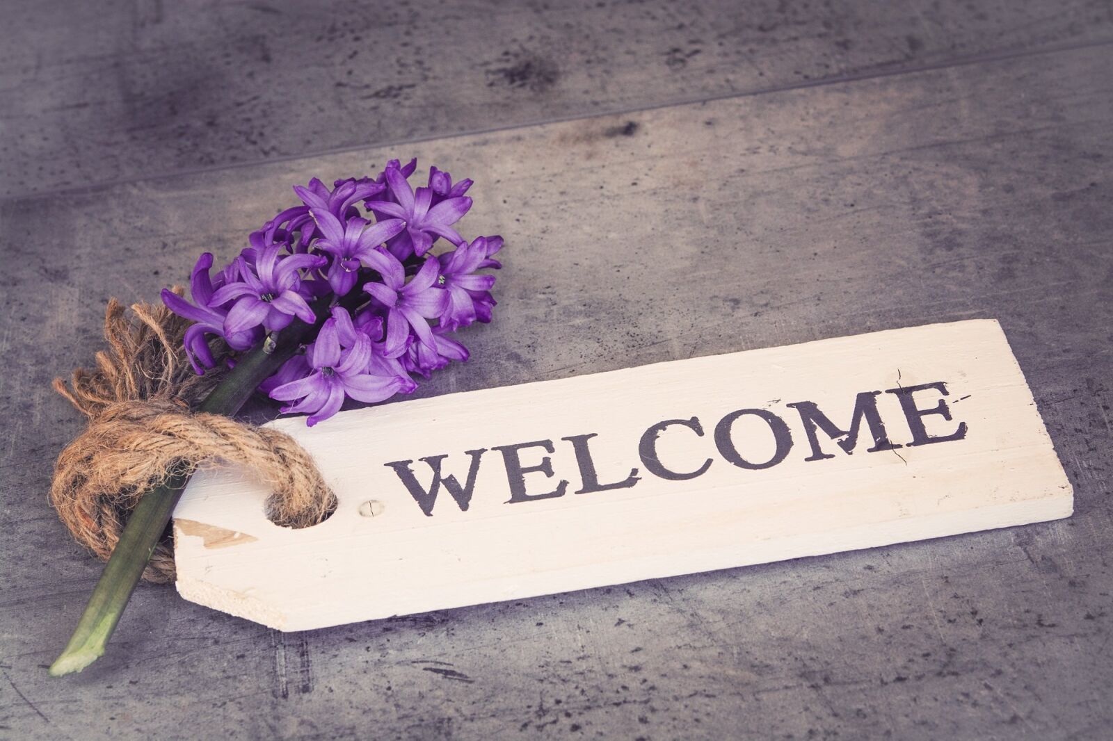Nikon D7100 sample photo. Hyacinth, flower, violet photography