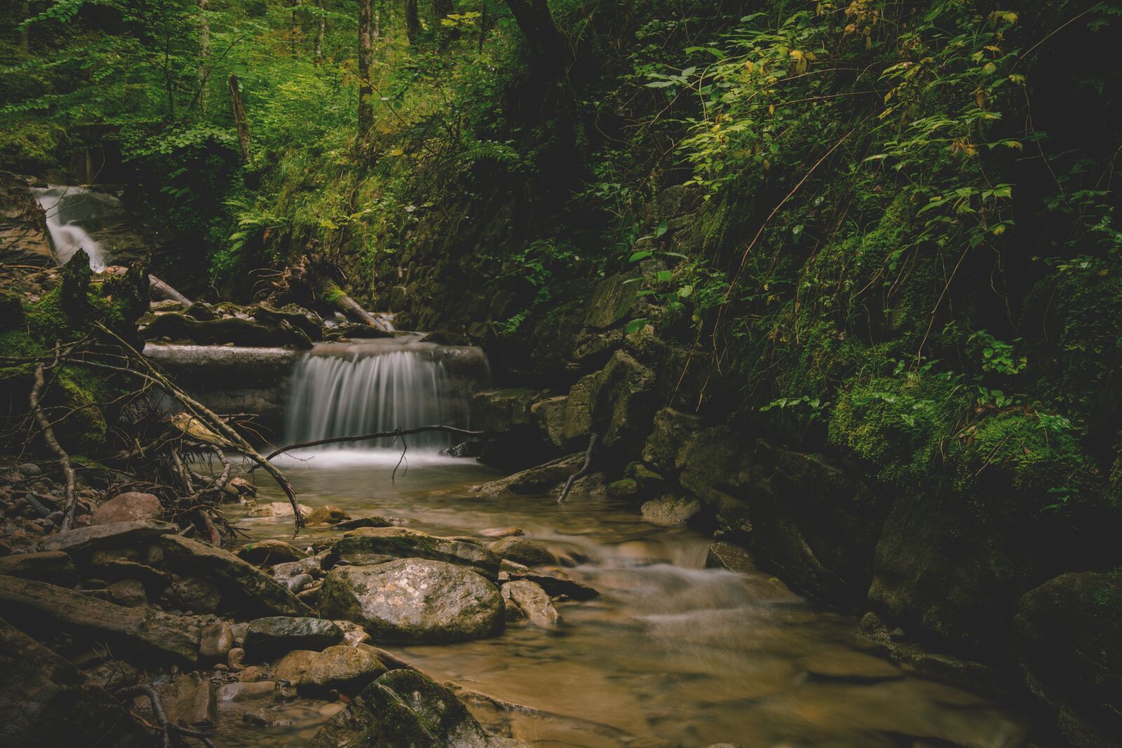 Nikon D5300 sample photo. Bach, river, forest photography