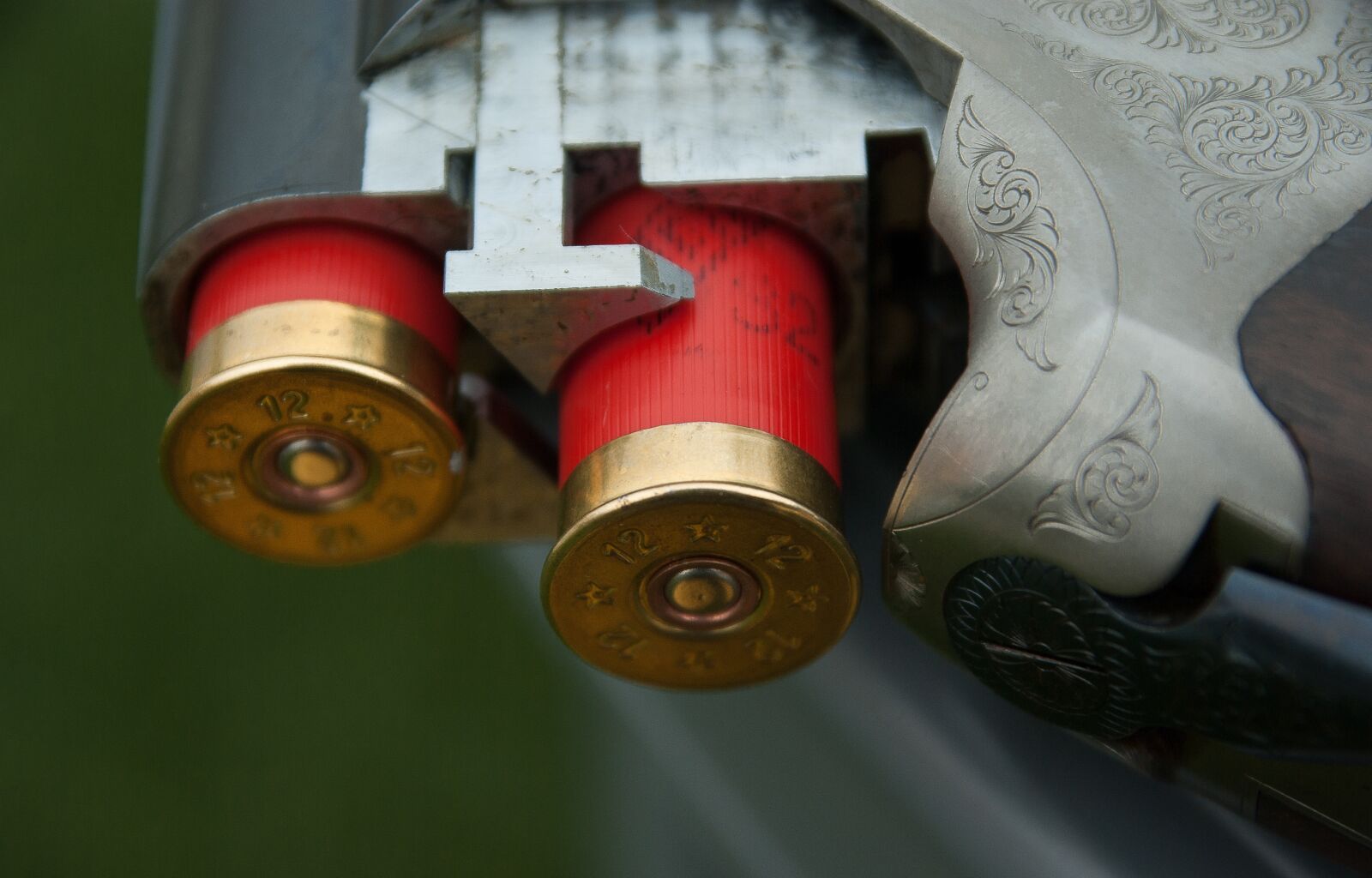 Pentax K10D sample photo. Gun, canon, cartridges photography