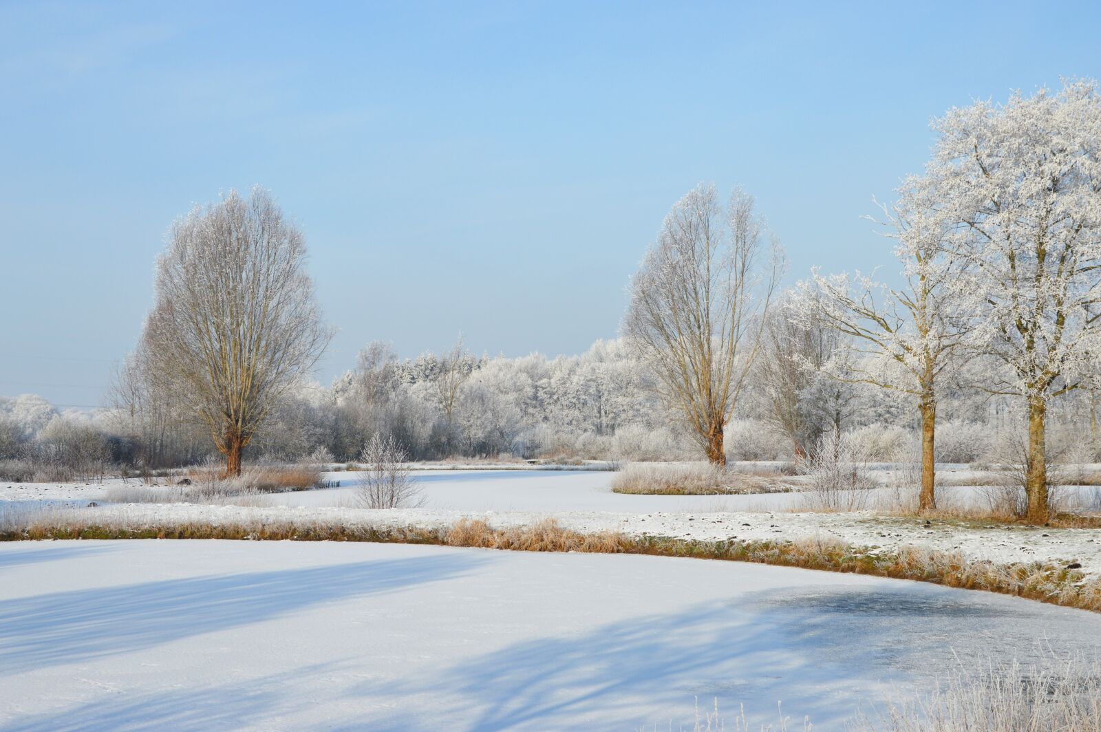 Nikon D3200 sample photo. Winter, frost, ponds photography