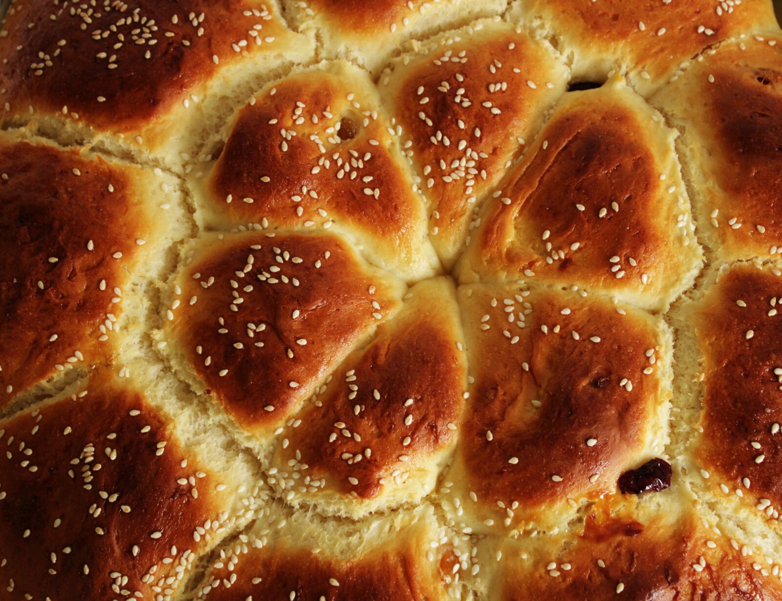 Canon EOS 2000D (EOS Rebel T7 / EOS Kiss X90 / EOS 1500D) sample photo. Bake, sesame seeds, easter photography