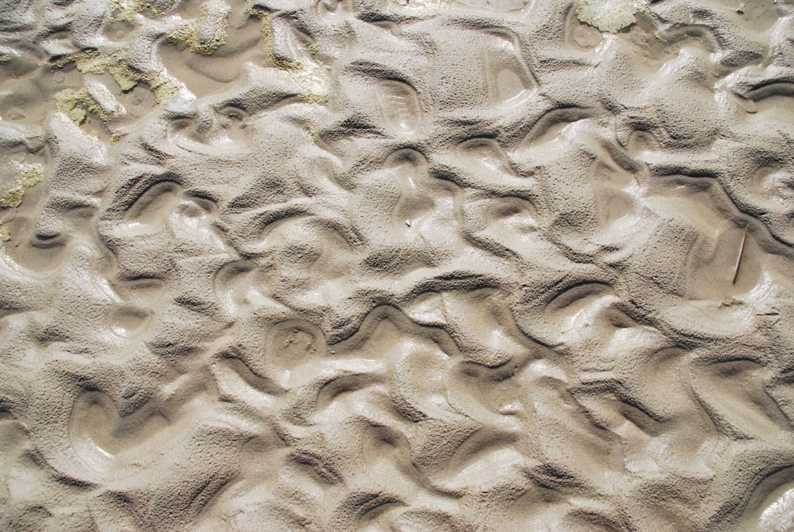 Nikon D60 sample photo. Pattern, abstract, desktop background photography