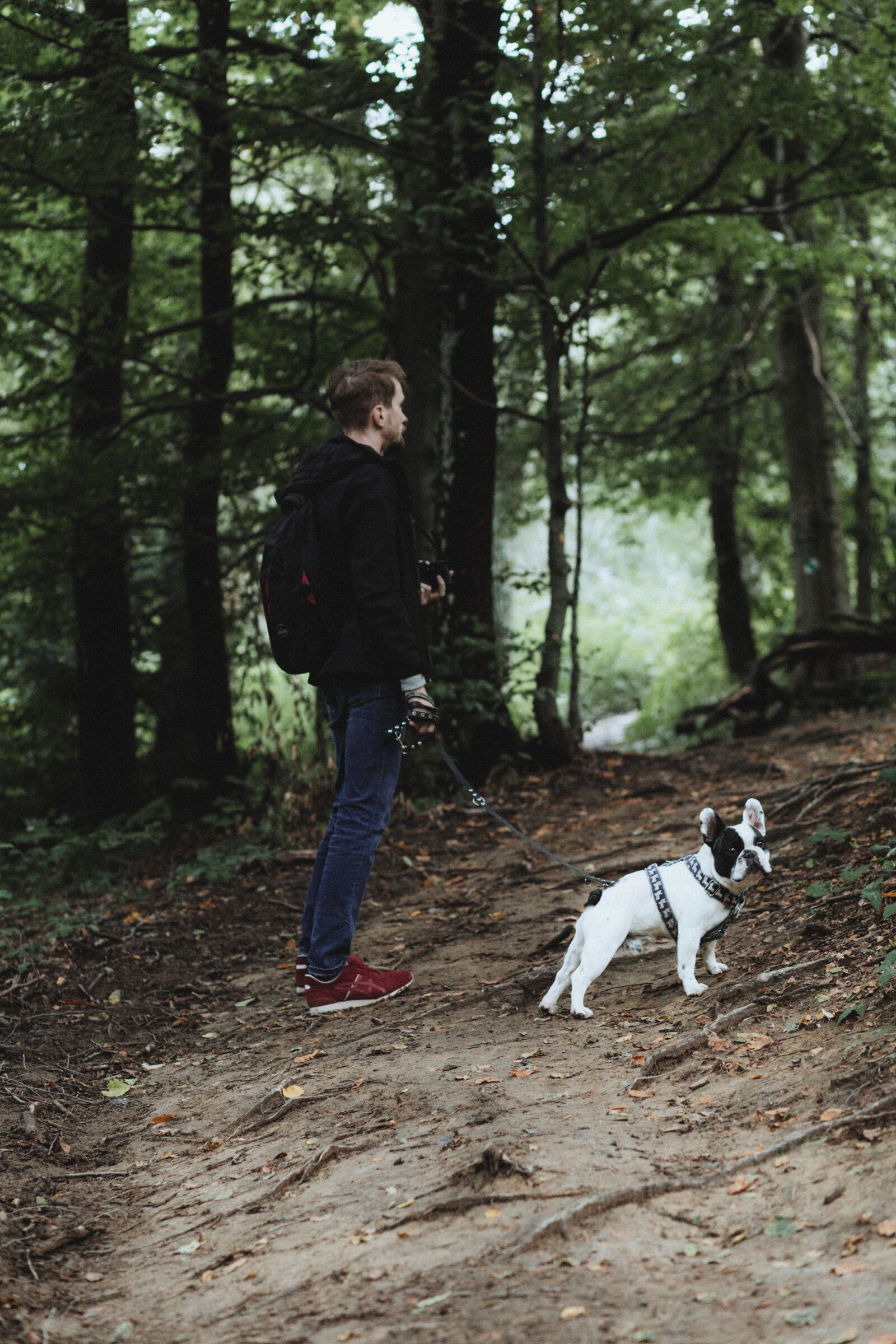 Canon EF 85mm F1.8 USM sample photo. Animals, nature, people photography
