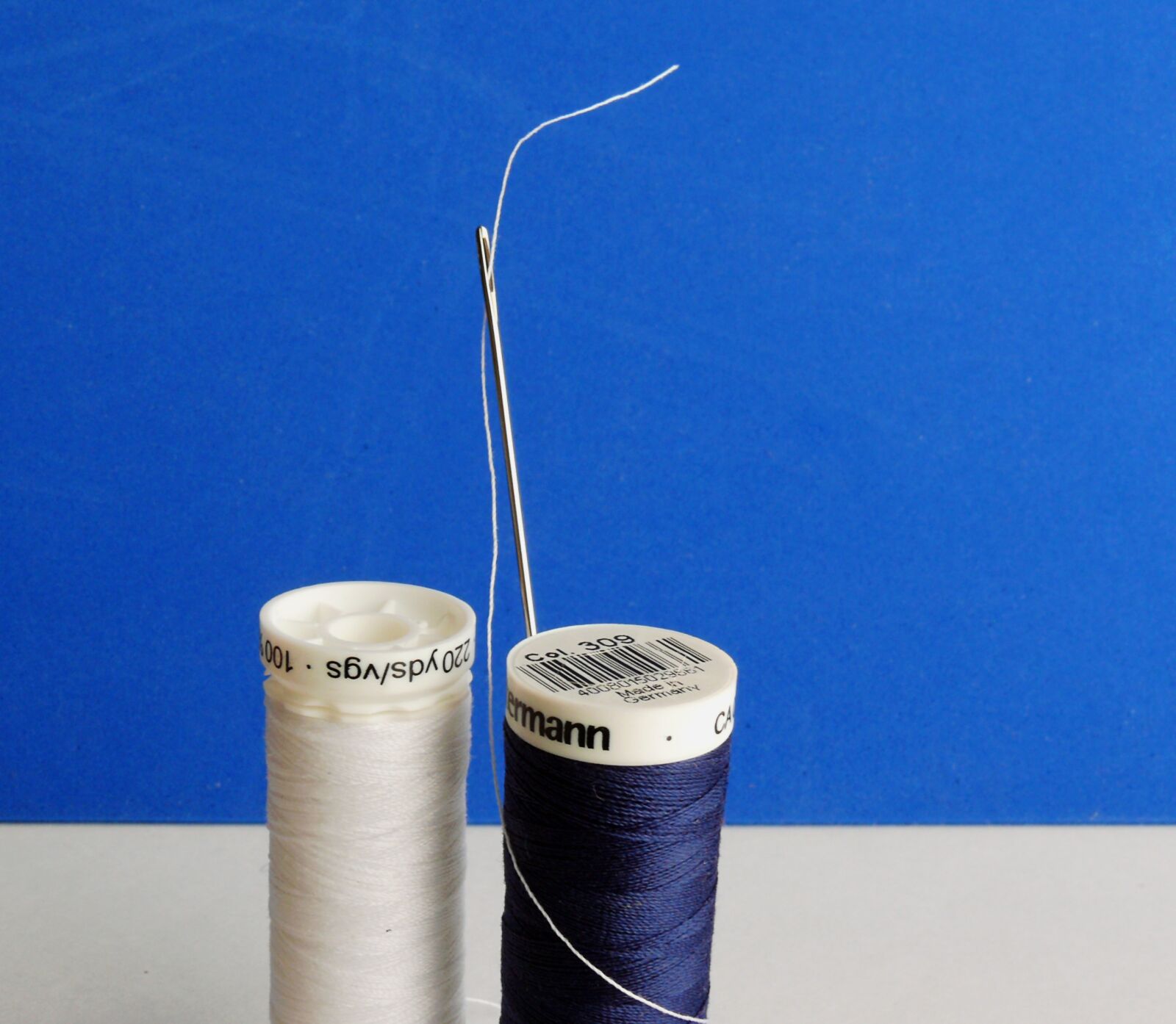 Leica V-LUX 1 sample photo. Needle, thread, needle and photography
